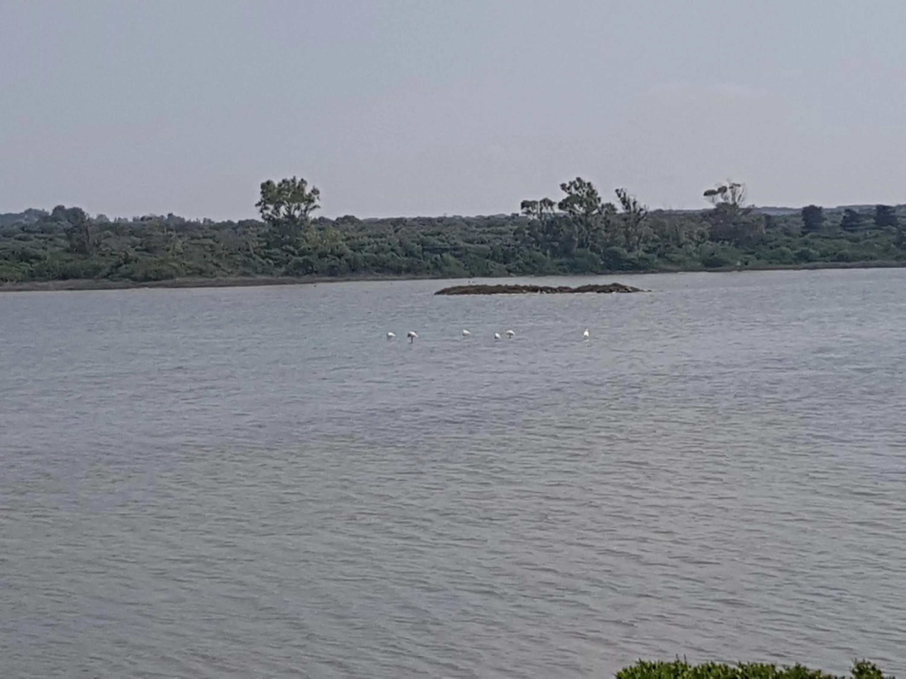 Beach in B&B Miramare