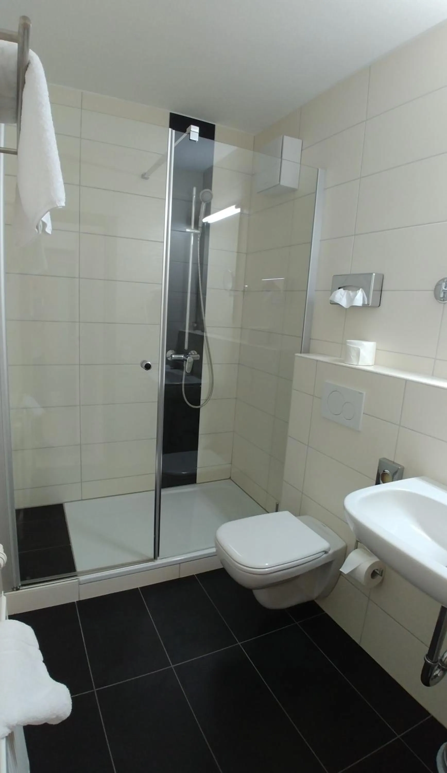 Shower in ZUM ZIEL Hotel & Restaurant Grenzach-Wyhlen bei Basel