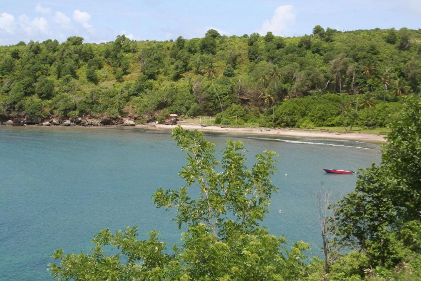 Natural landscape in Cabier Ocean Lodge