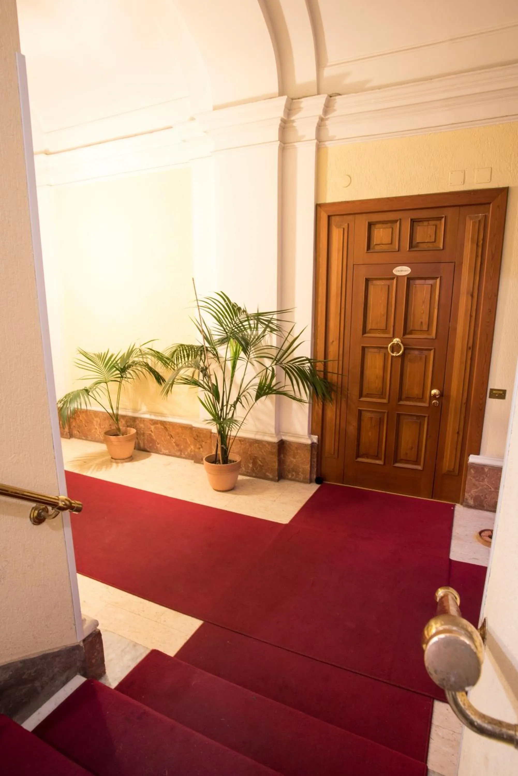 Area and facilities in Domus RomAntica