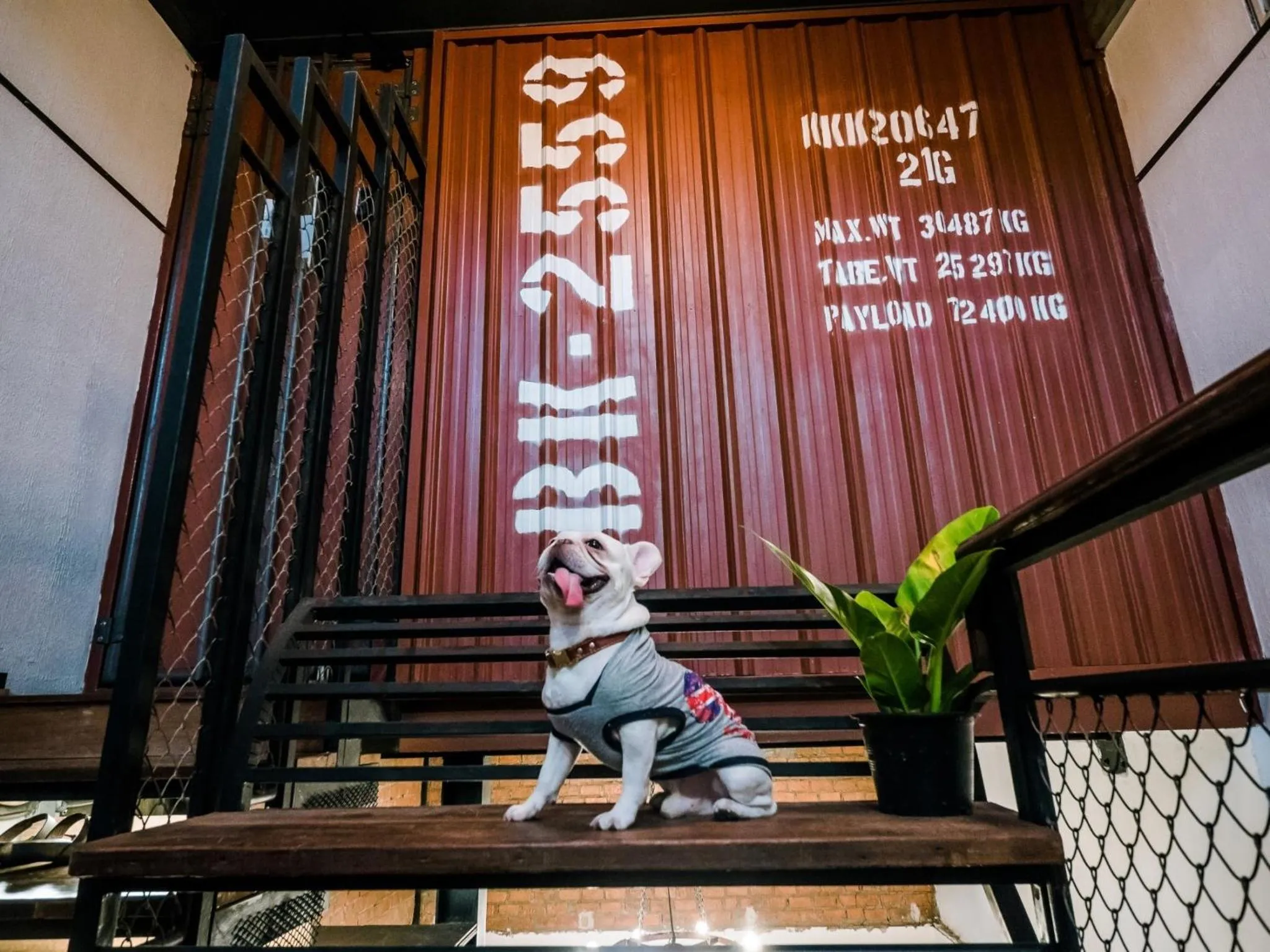 Seating area in Zeds Hostel Bangkok