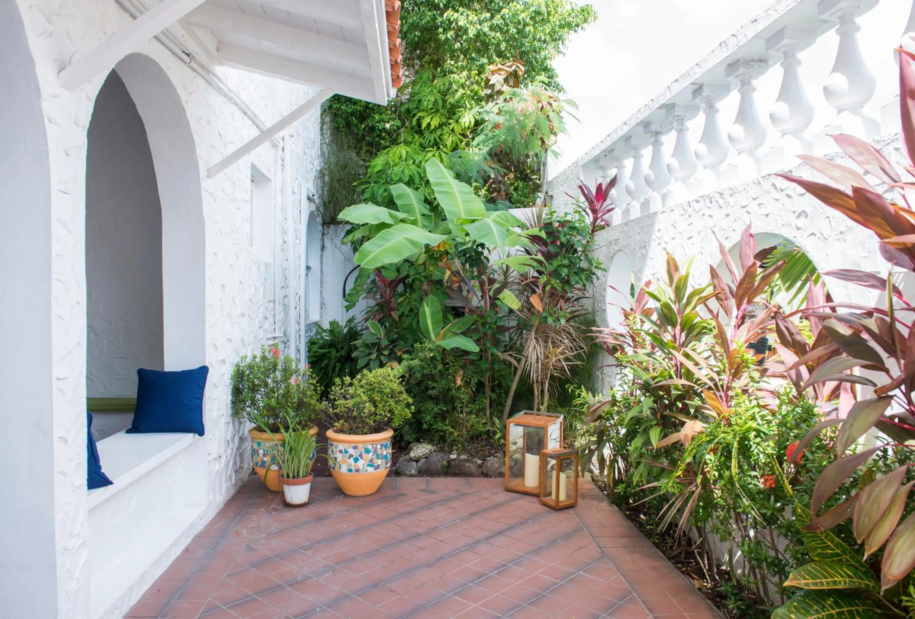 Garden view in Mount Cinnamon Beach & Wellness Resort