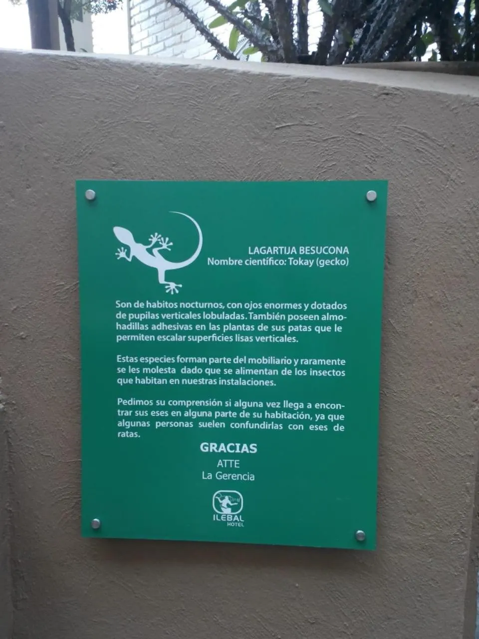 Property logo or sign in Hotel Ilebal Cuernavaca Centro - lugar con encanto!