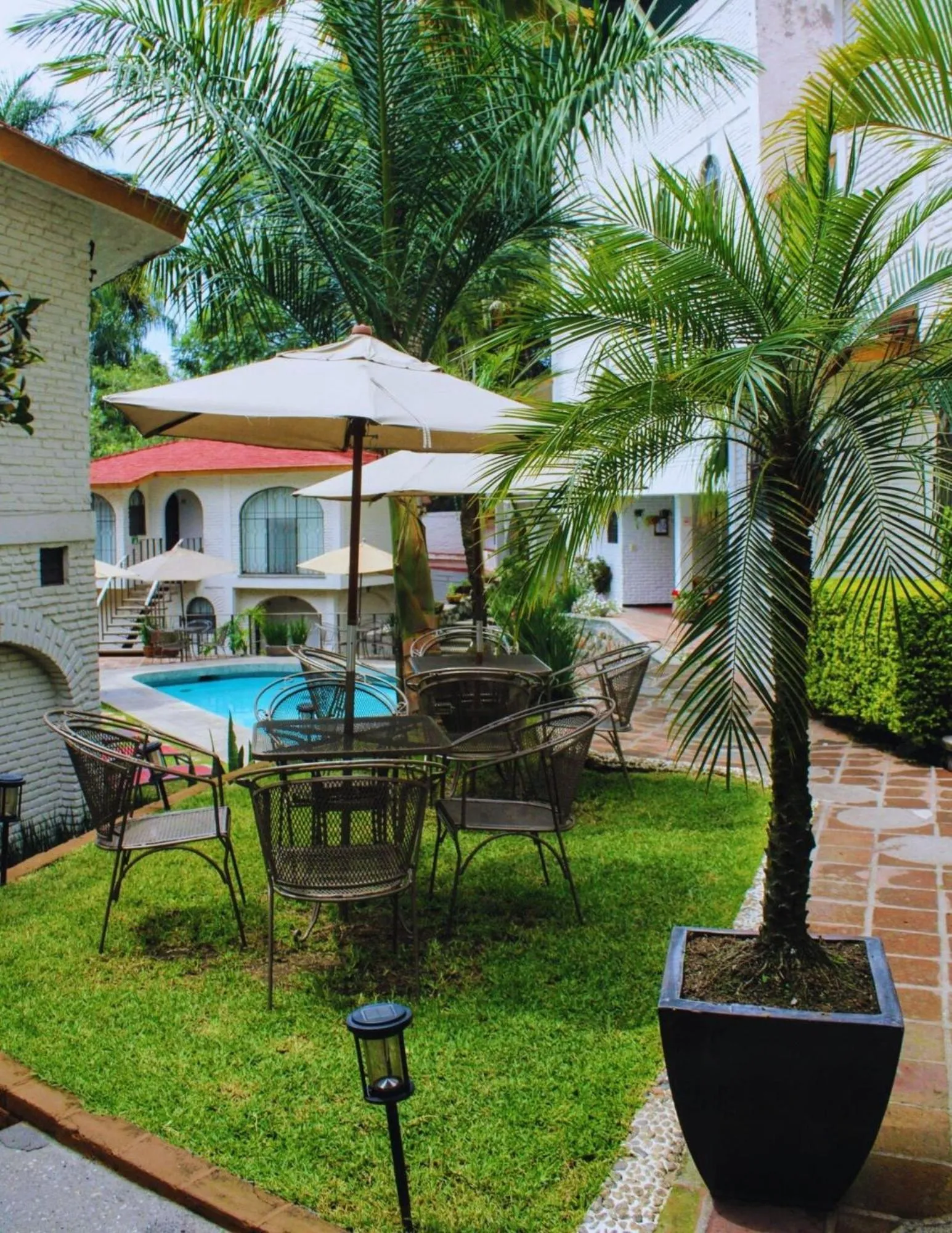 Garden in Hotel Ilebal Cuernavaca Centro - lugar con encanto!