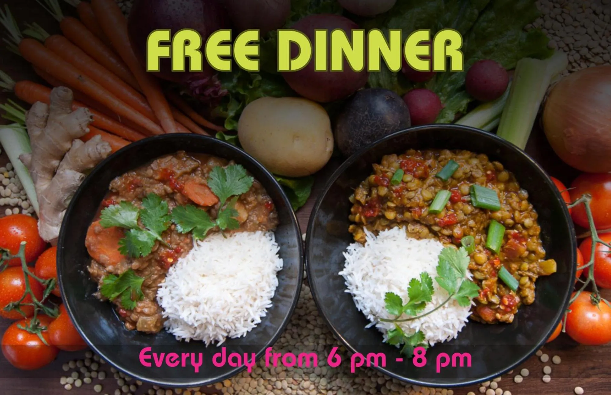 Ocean Island Inn | Backpackers | Suites