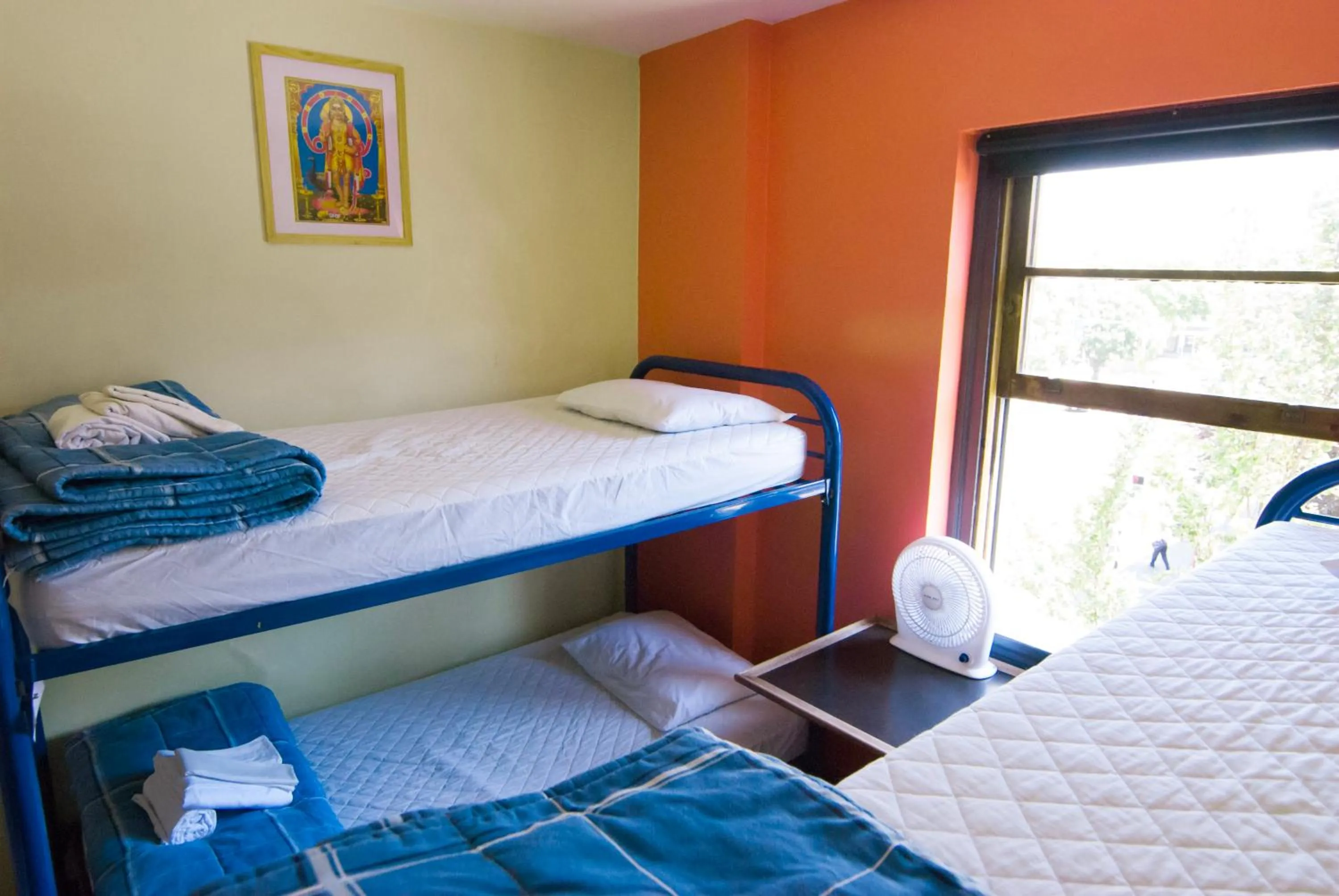 Bed in Ocean Island Inn | Backpackers | Suites
