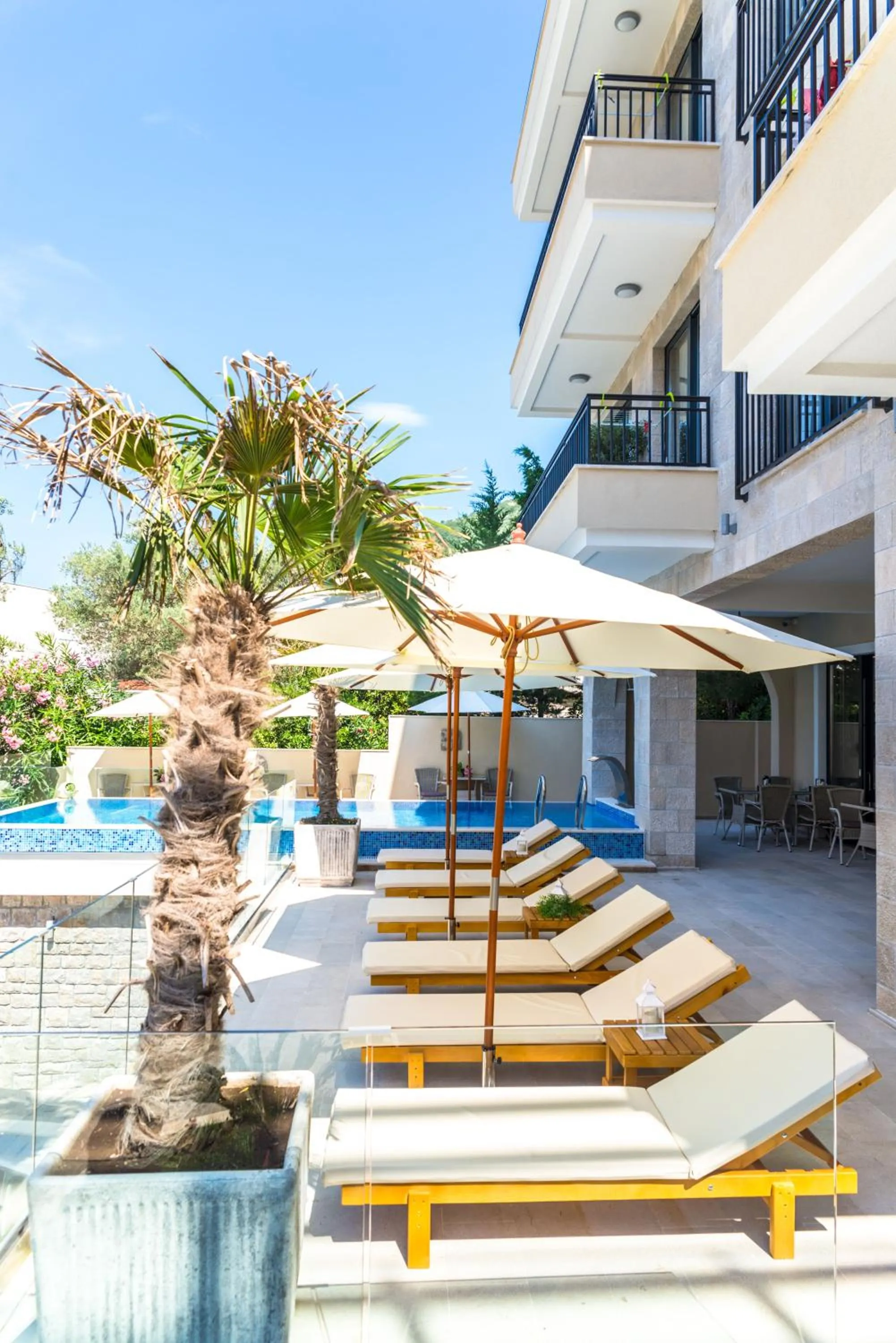 Swimming pool in B&B Amfora