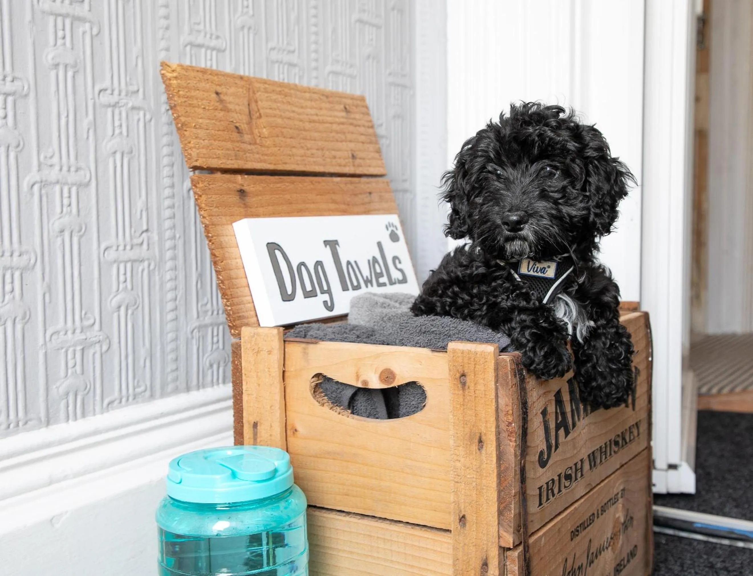 Other in The Belmont