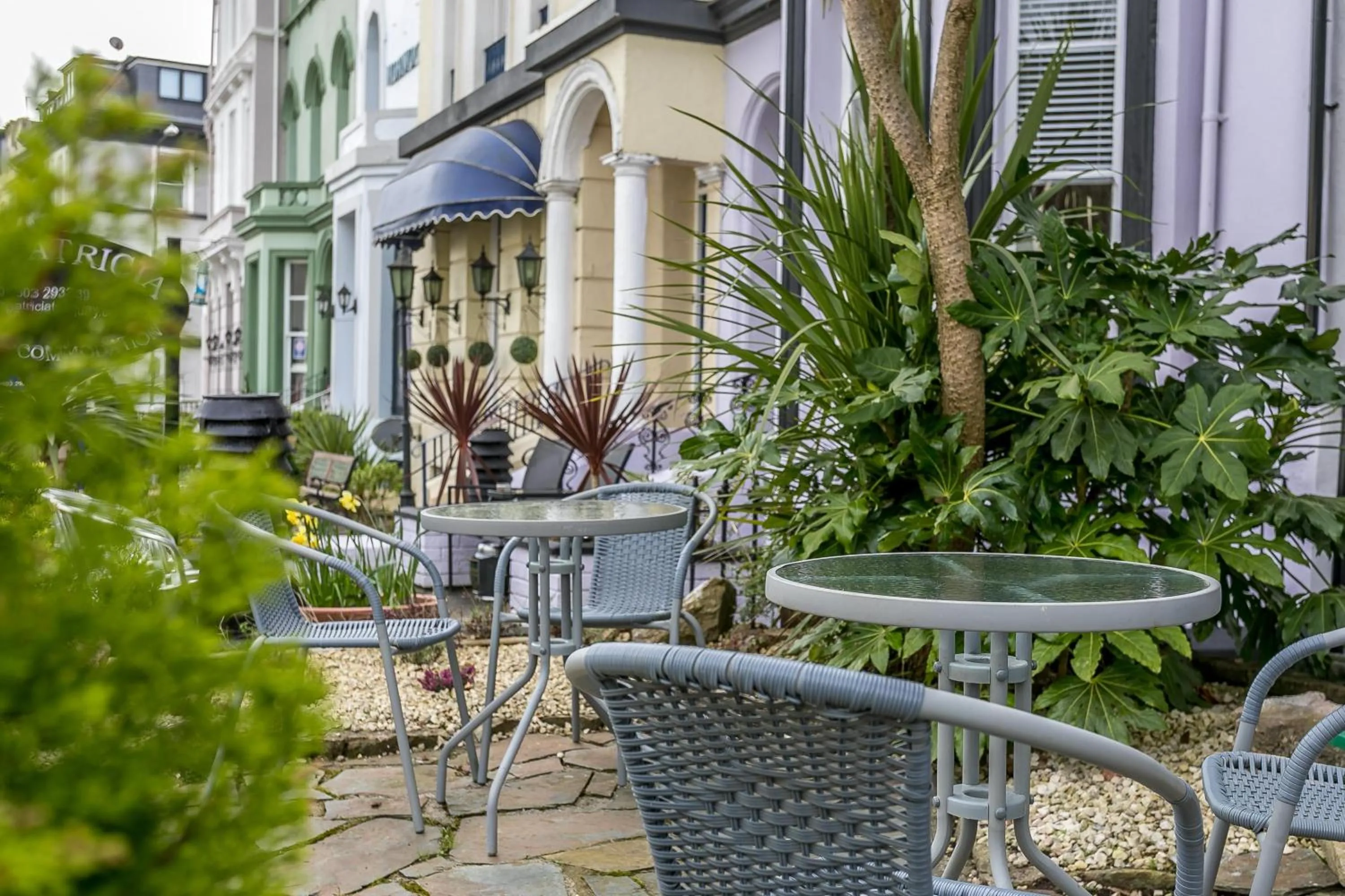 Garden in The Belmont