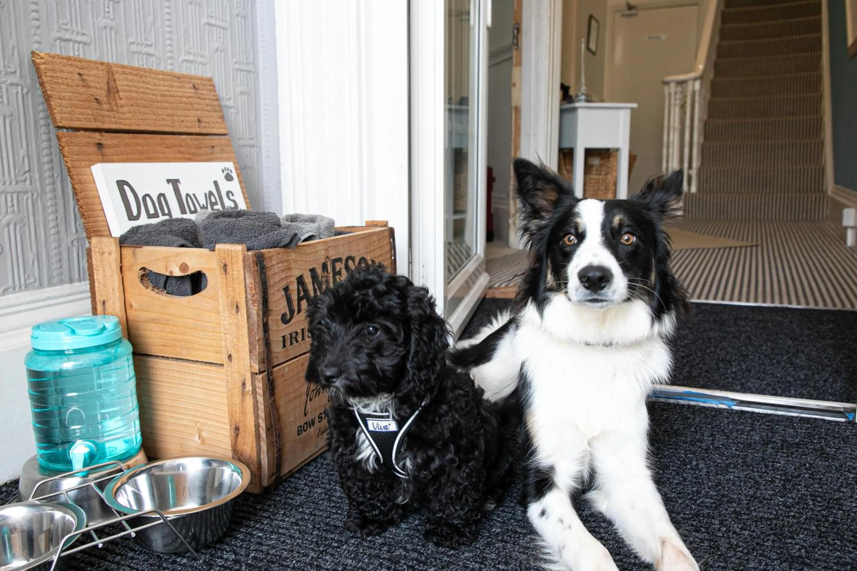 Other in The Belmont