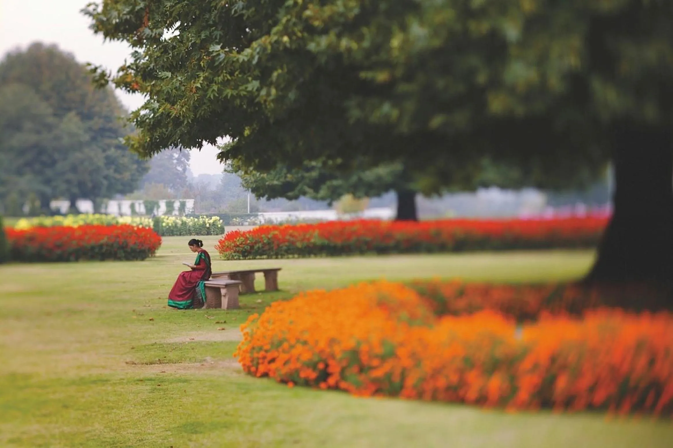 Garden in The LaLit Grand Palace Srinagar