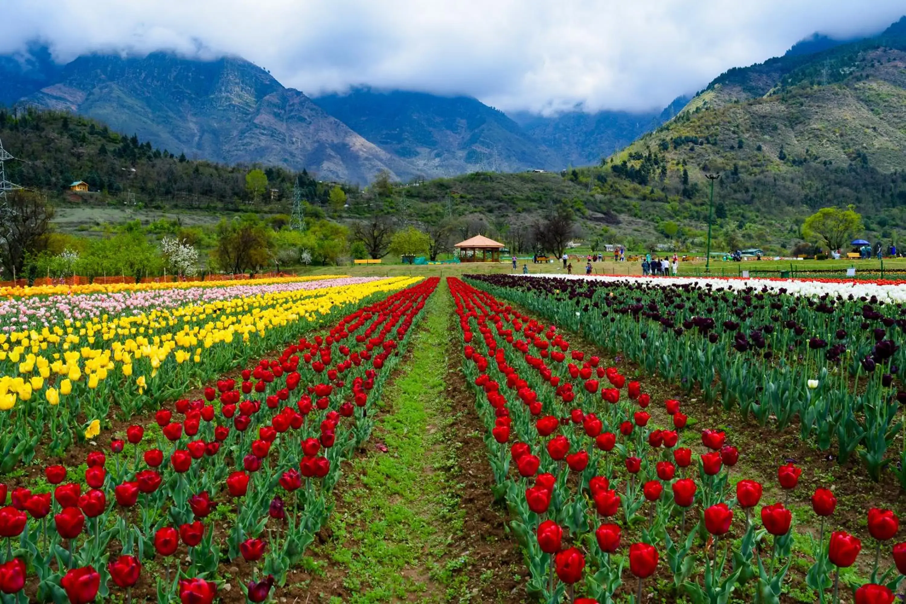 Garden view in The LaLit Grand Palace Srinagar Garden view in The LaLit Grand Palace Srinagar