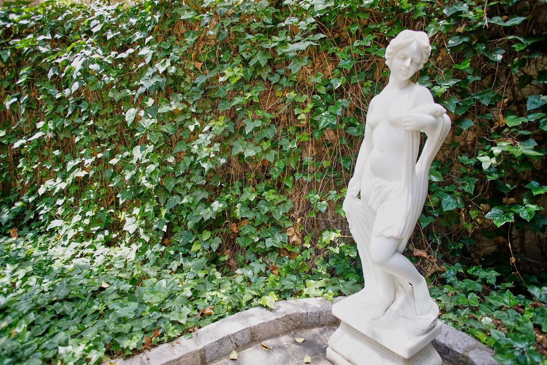 Garden in Casa Delmonte - Turismo de Interior