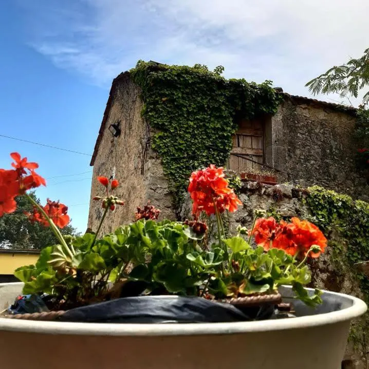 Affittacamere Varone