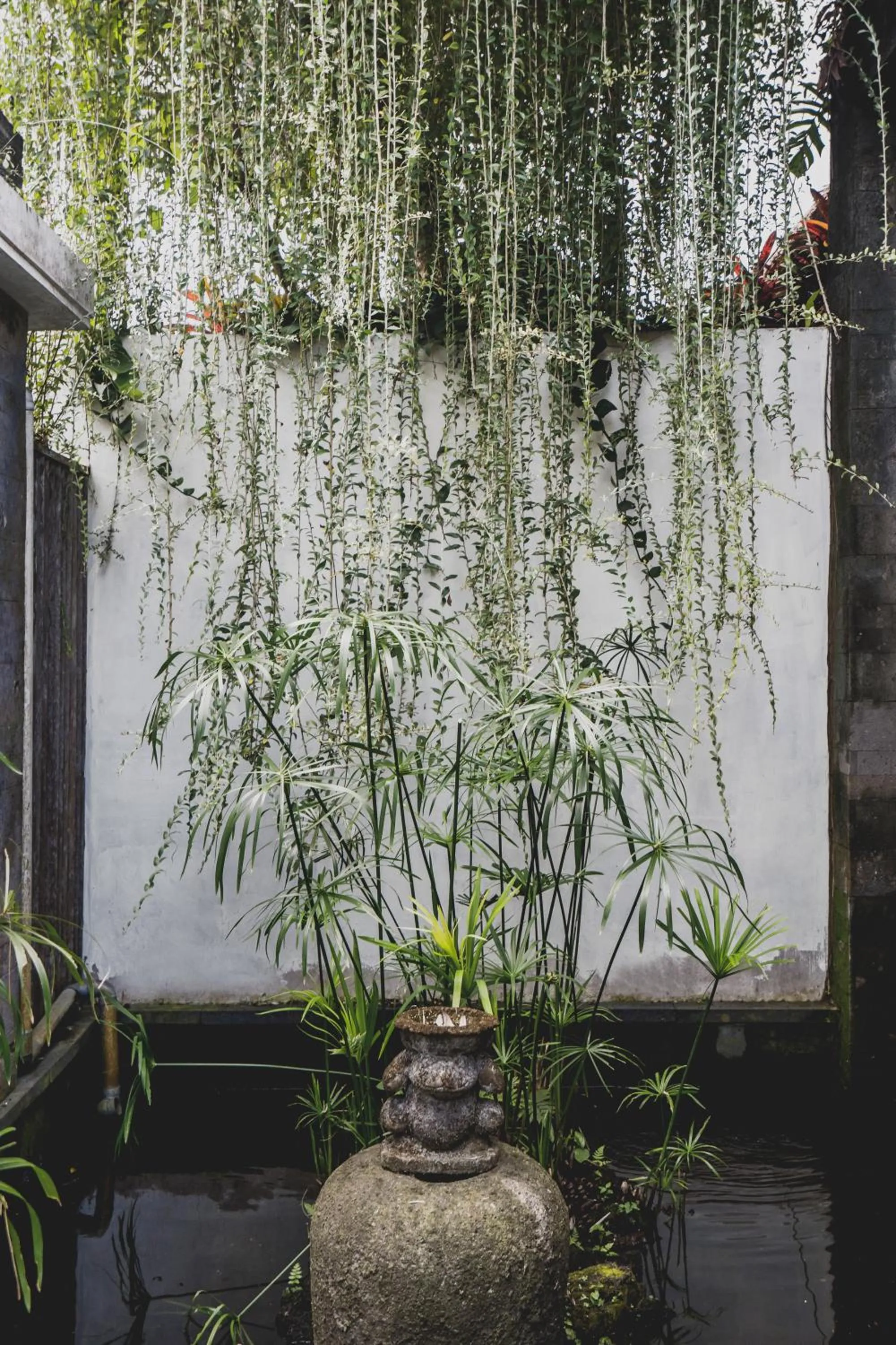 Garden in Luwak Estate