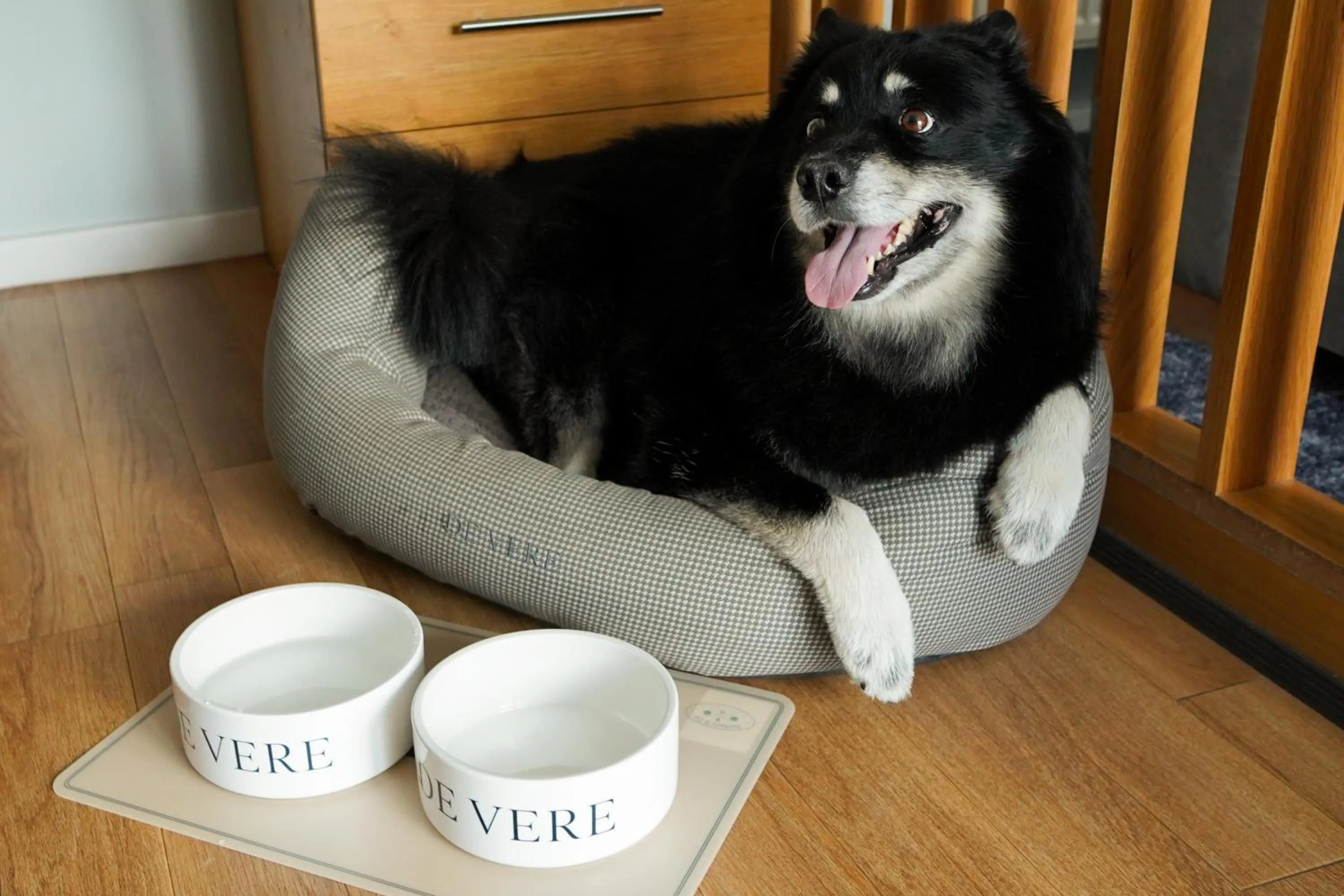 Pets in De Vere Cotswold Water Park