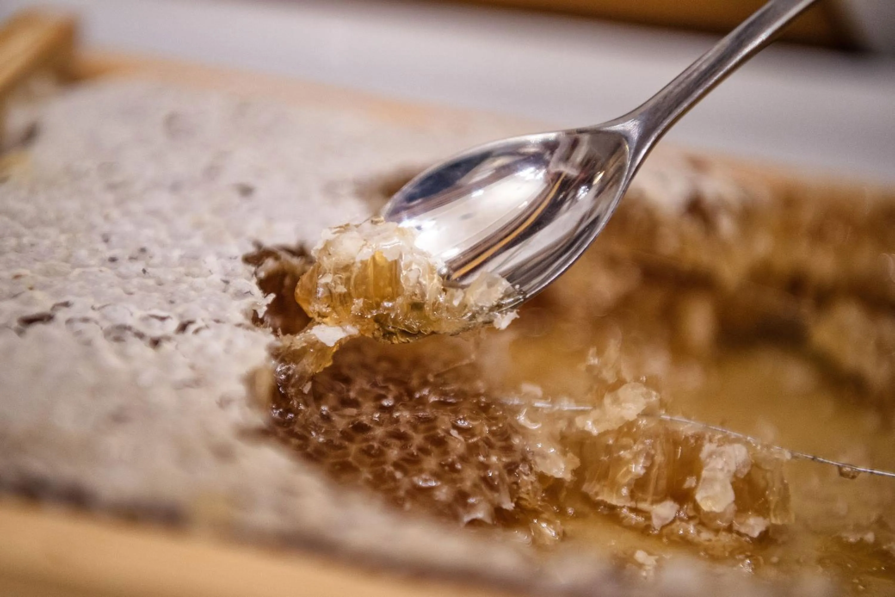 Restaurant/places to eat in Adler Inn Tyrol Mountain Resort SUPERIOR