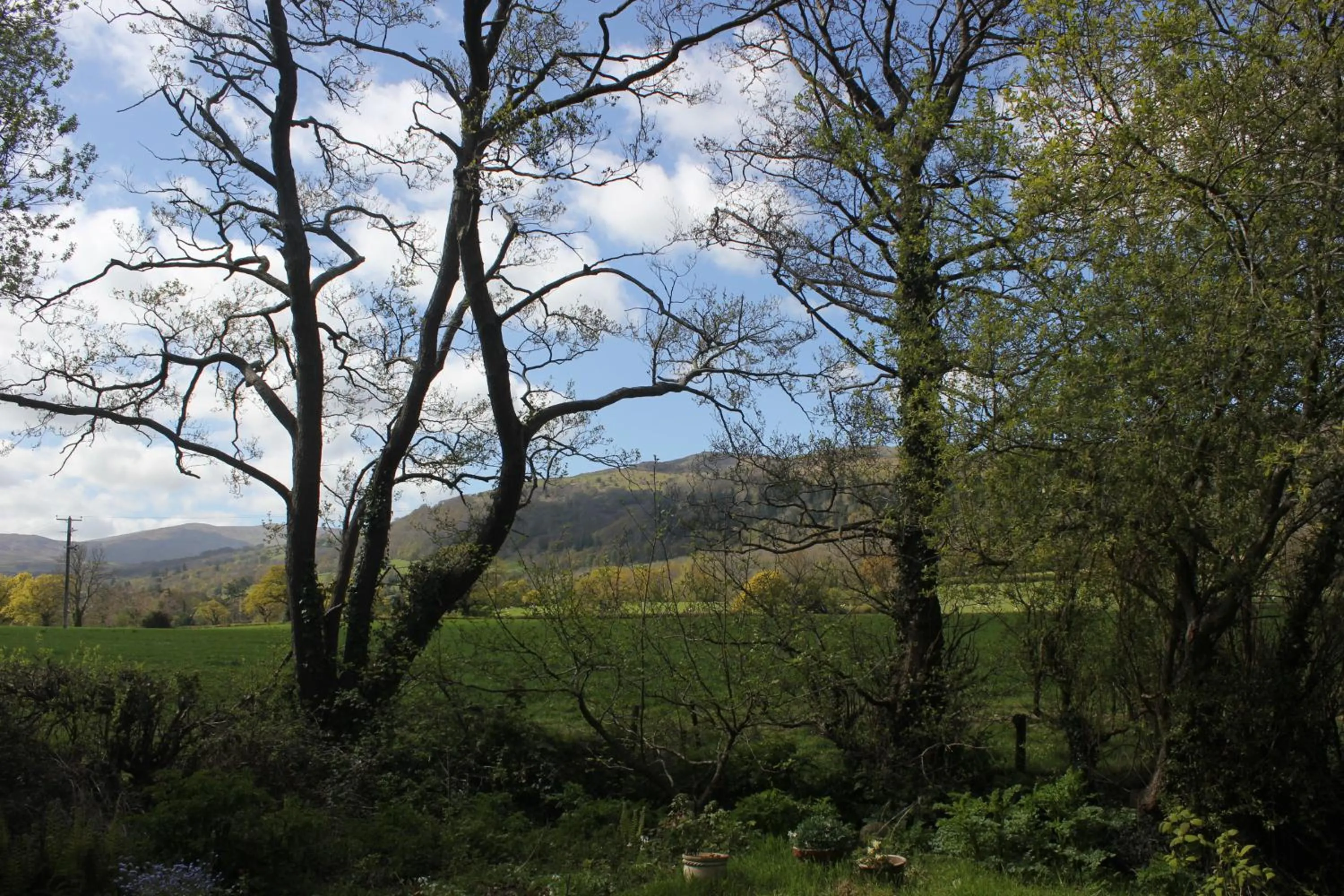 The Cabins Conwy
