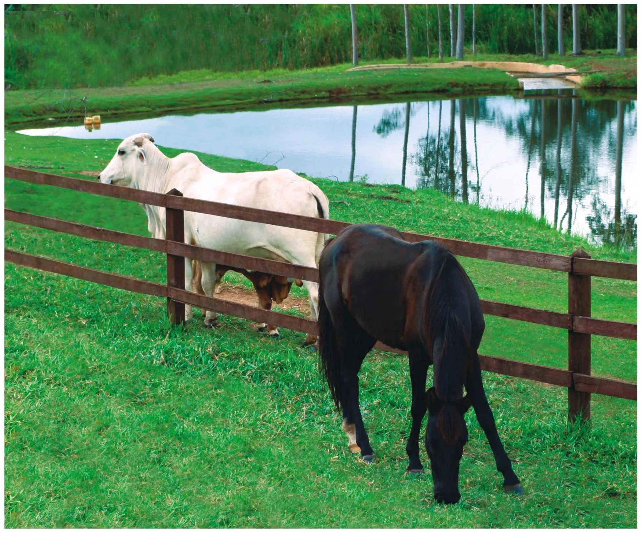 Day in Recanto Alvorada Eco Resort