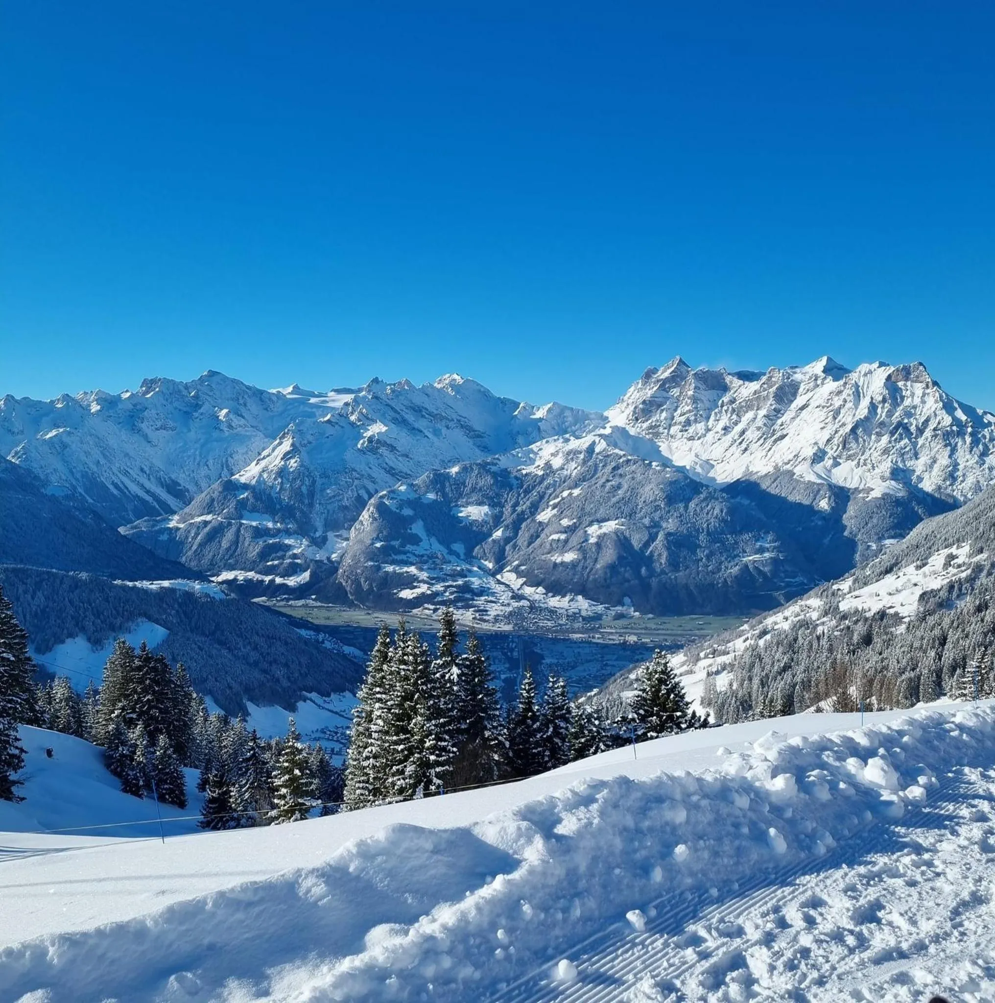 Natural landscape in Hotel Krone