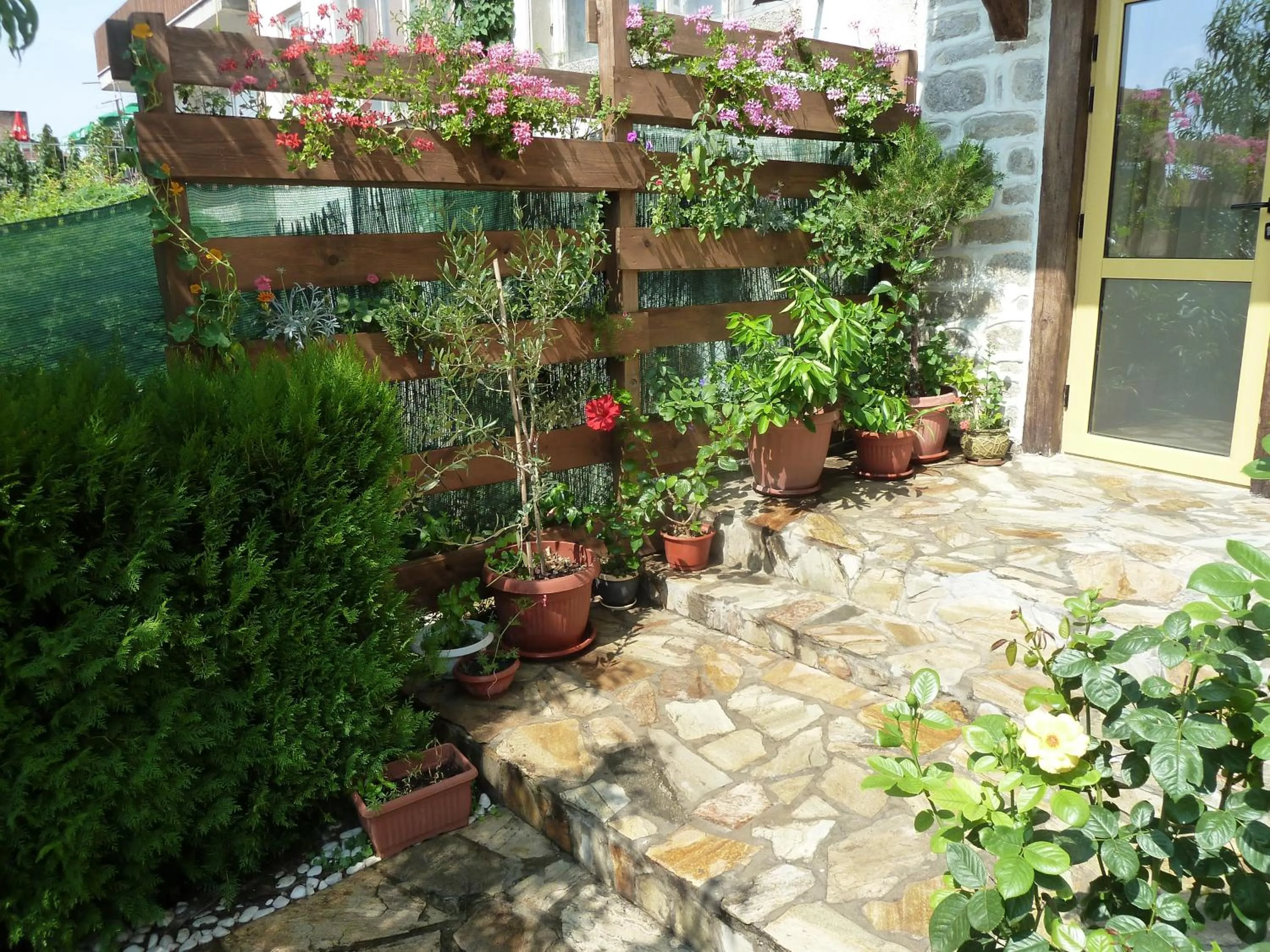 Garden in Hotel Anhea