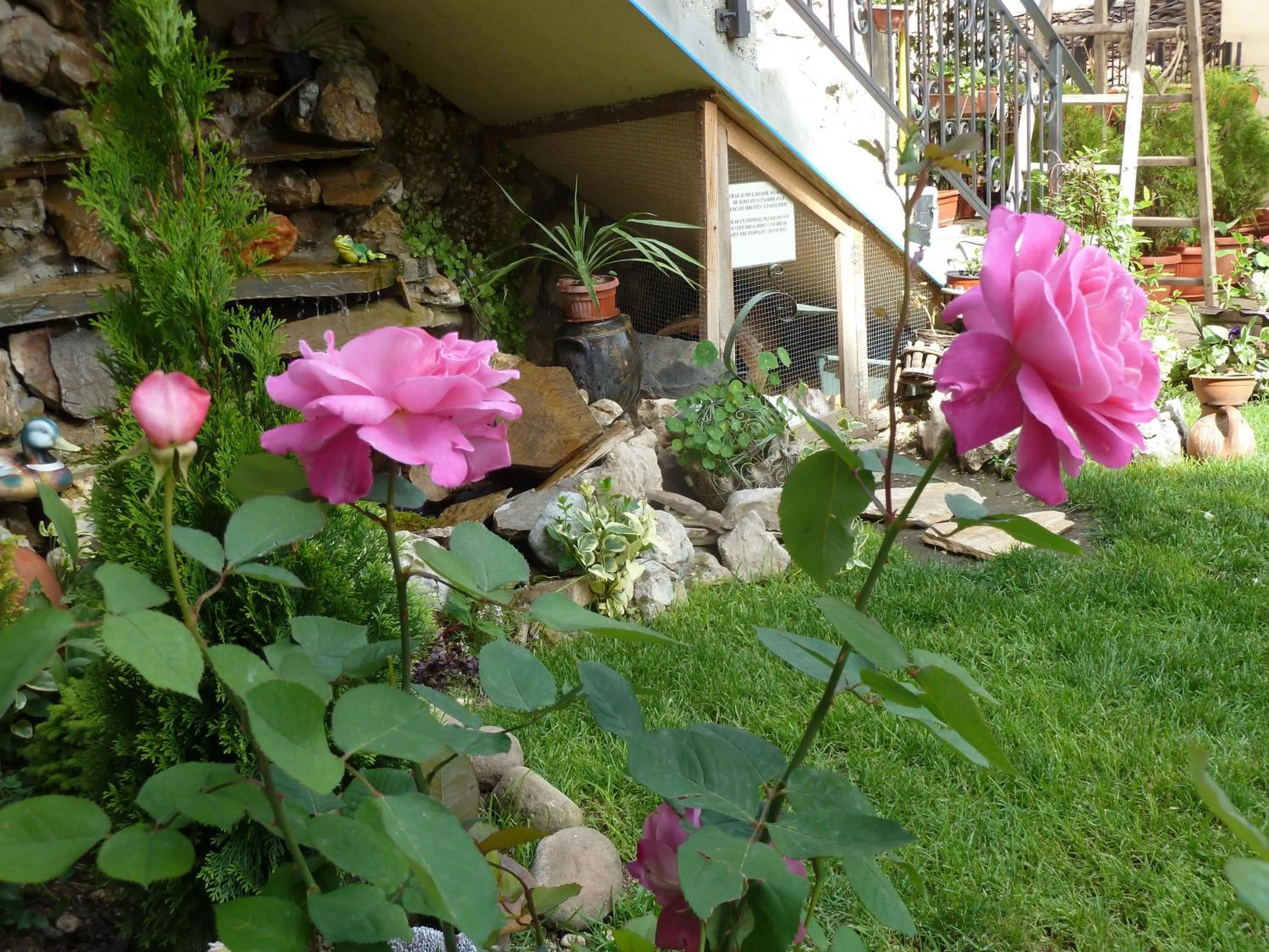 Spring in Hotel Anhea