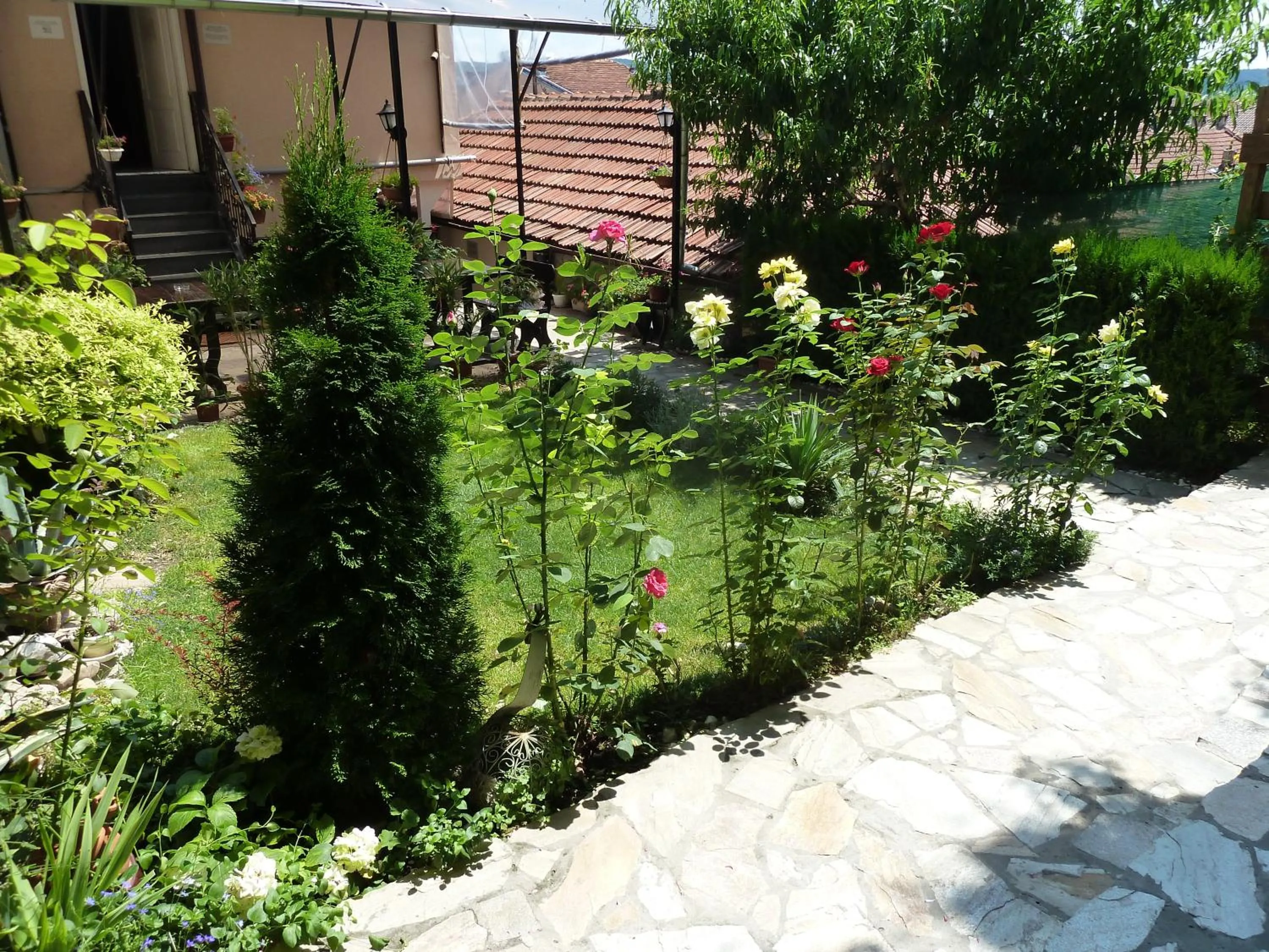 Garden in Hotel Anhea