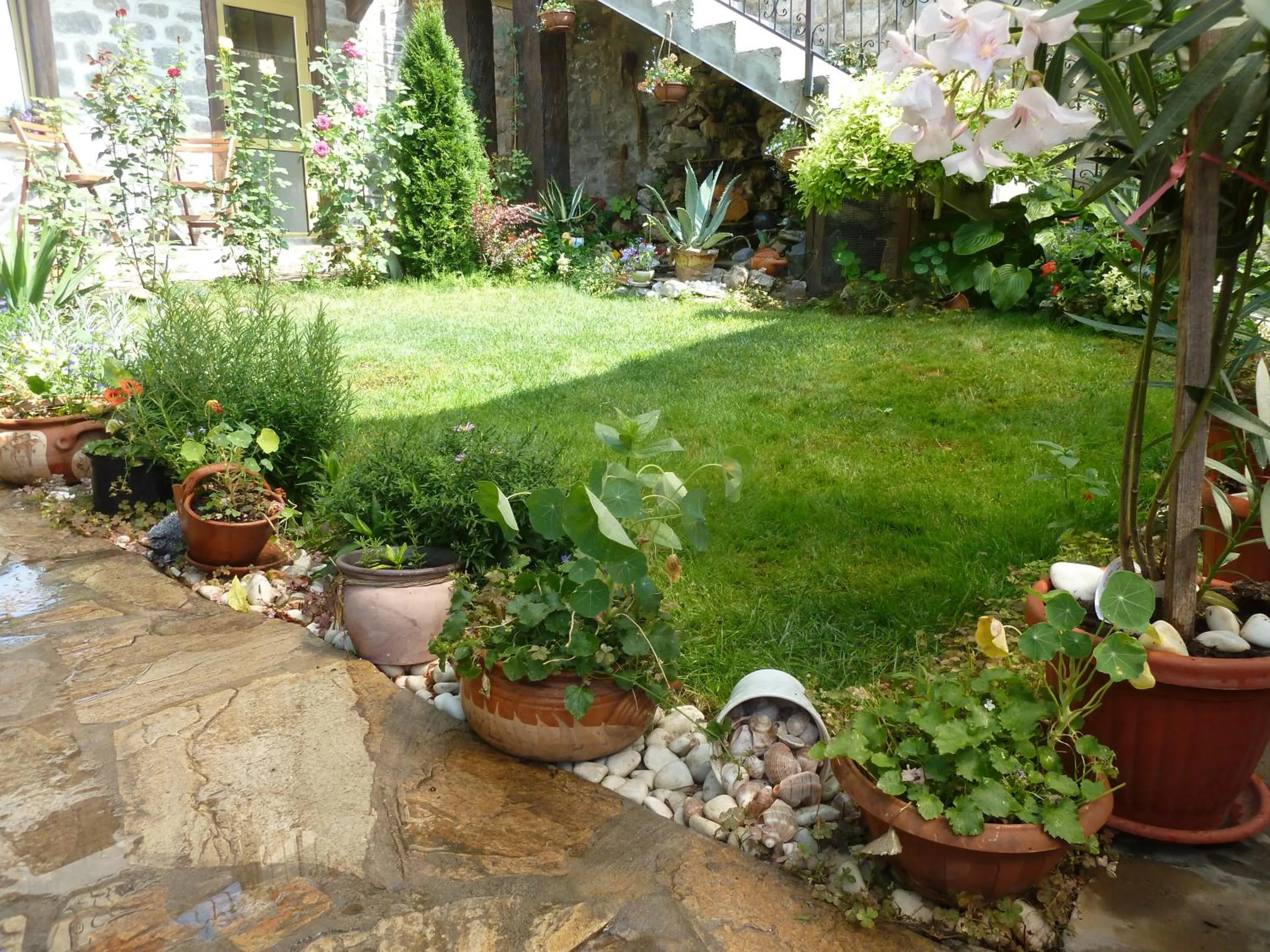 Garden in Hotel Anhea