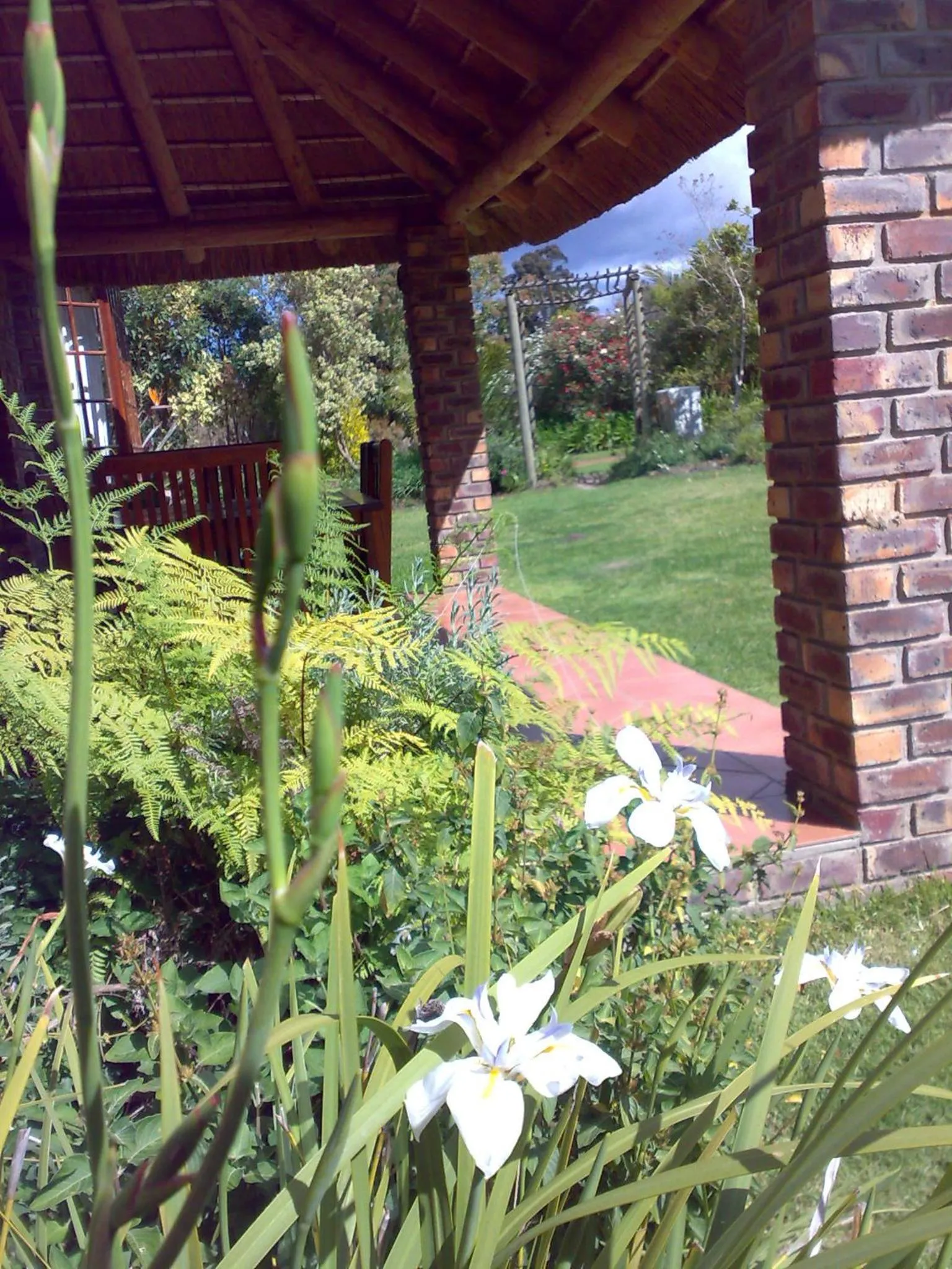 Patio in Coral Tree Cottages