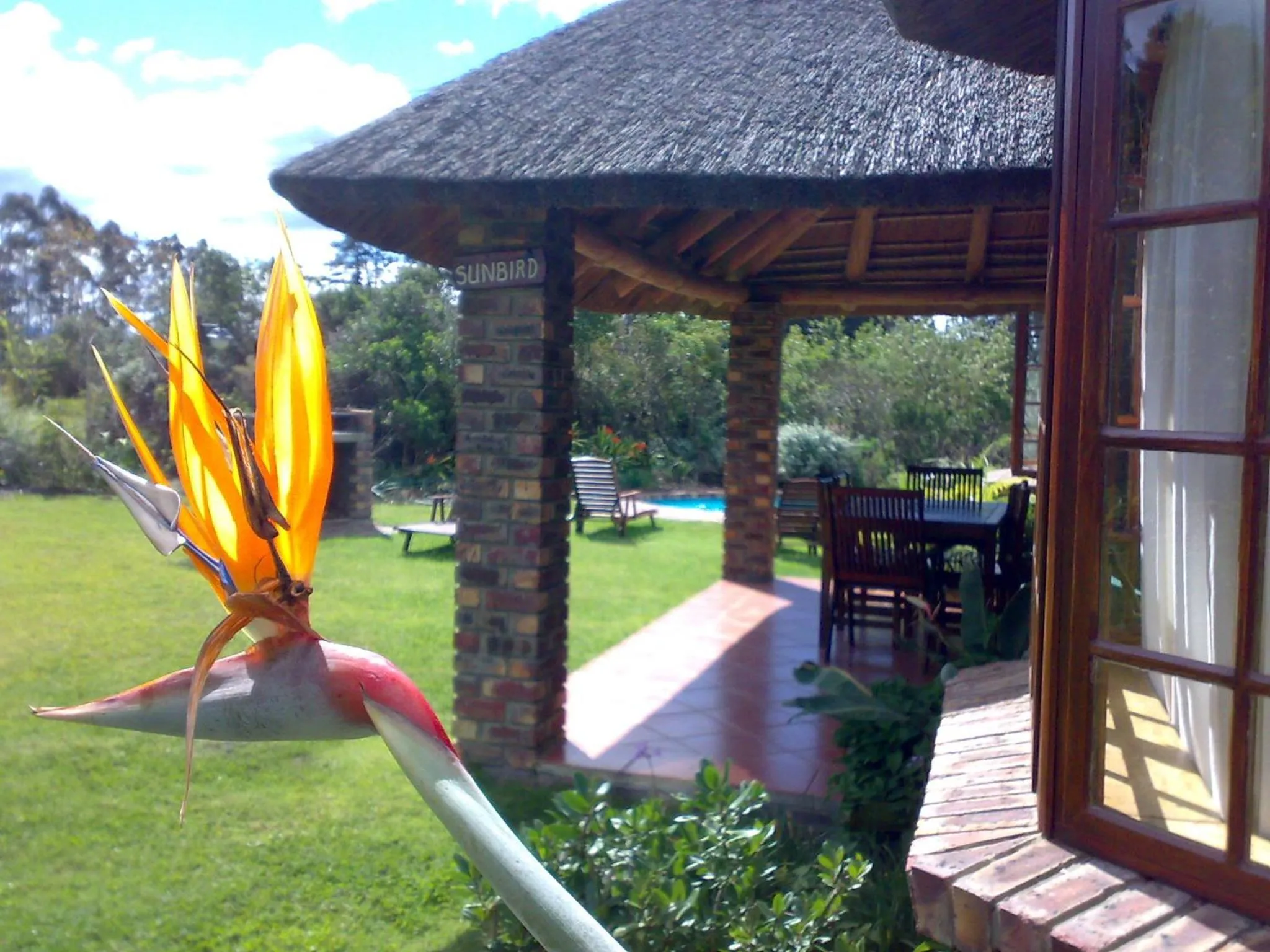 Patio in Coral Tree Cottages