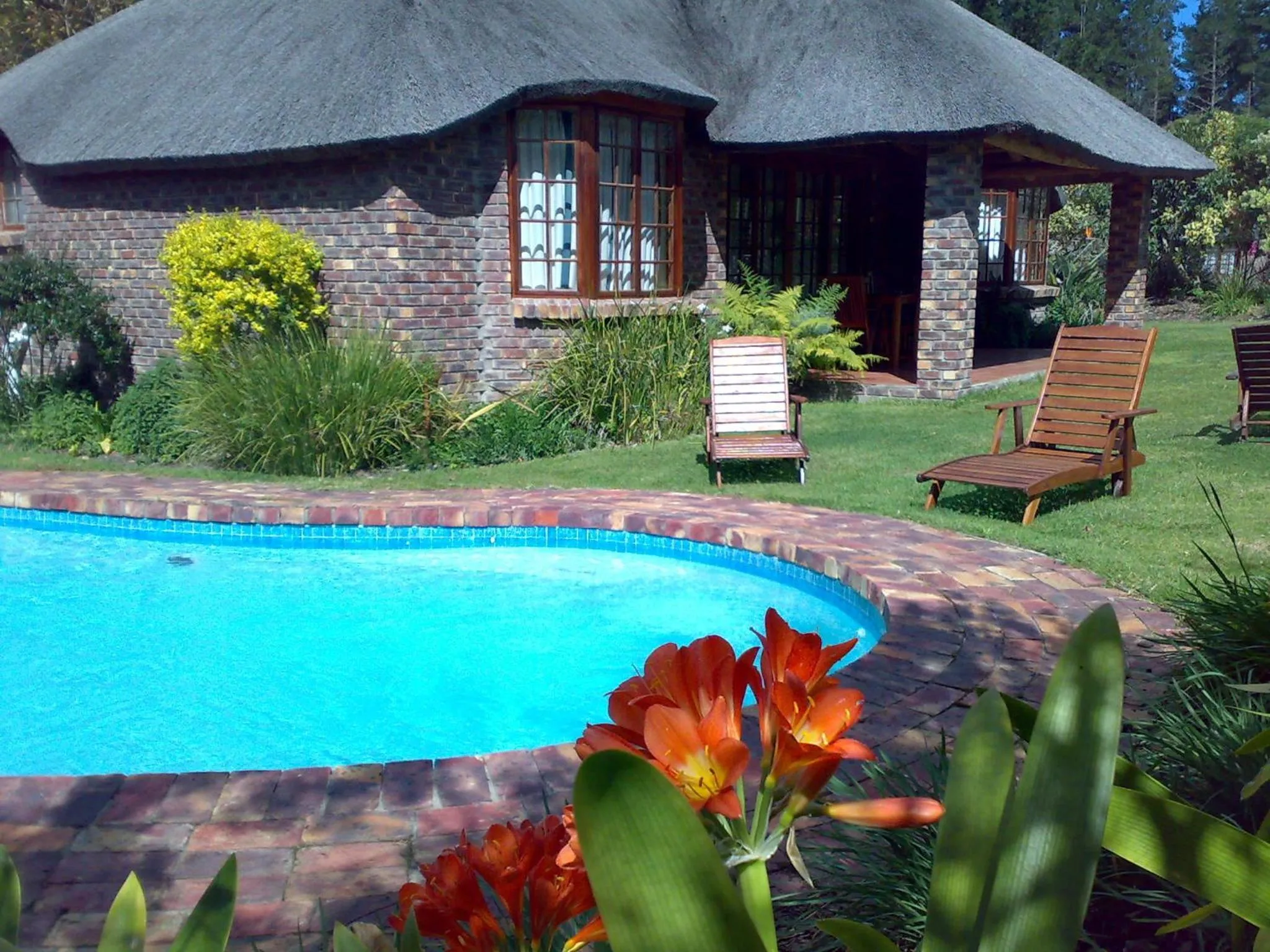 Swimming pool in Coral Tree Cottages