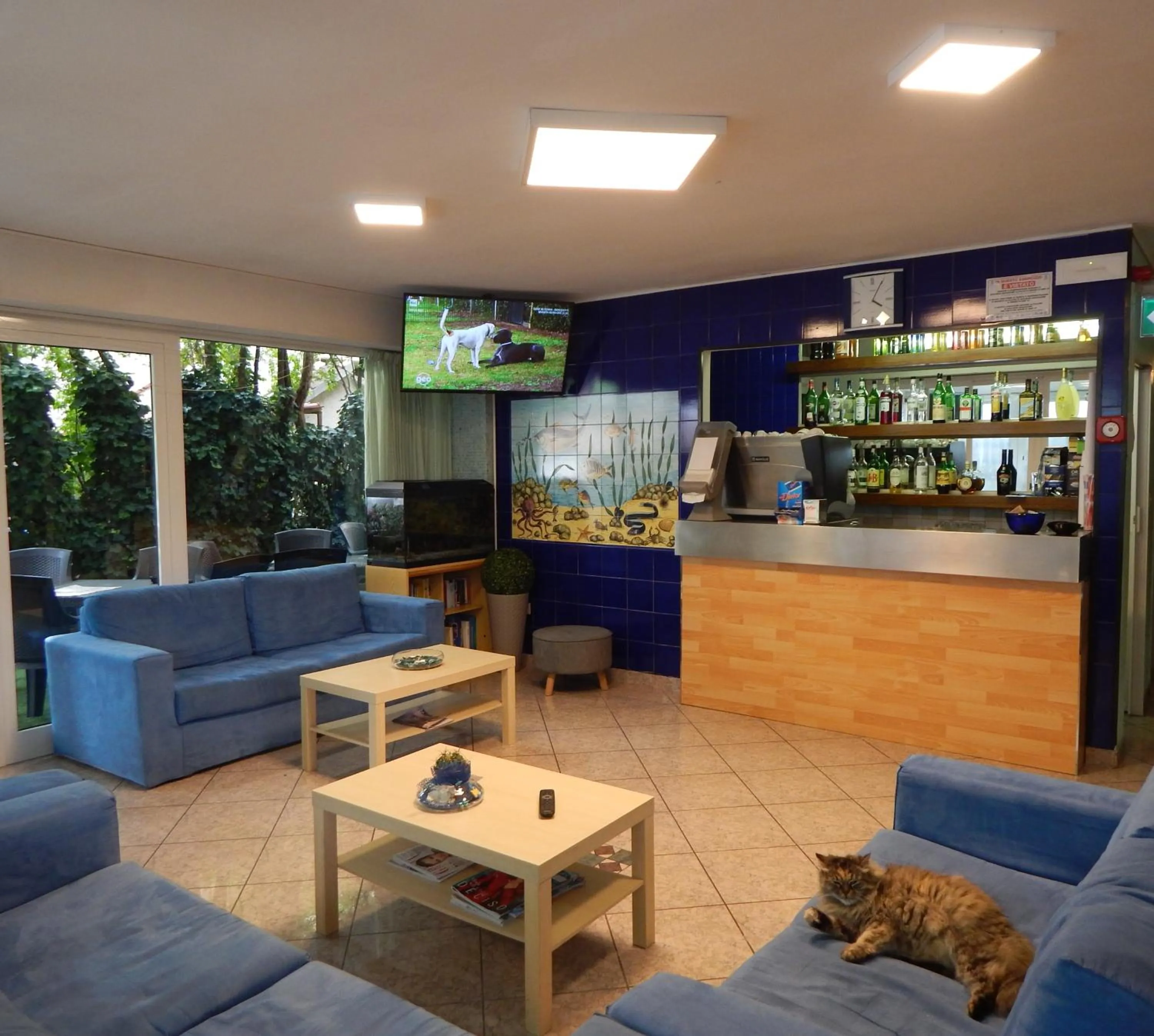 Lounge or bar in Hotel Vera