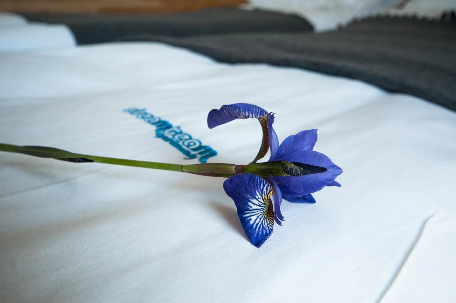 Bed in Dream Team Nordic Haven