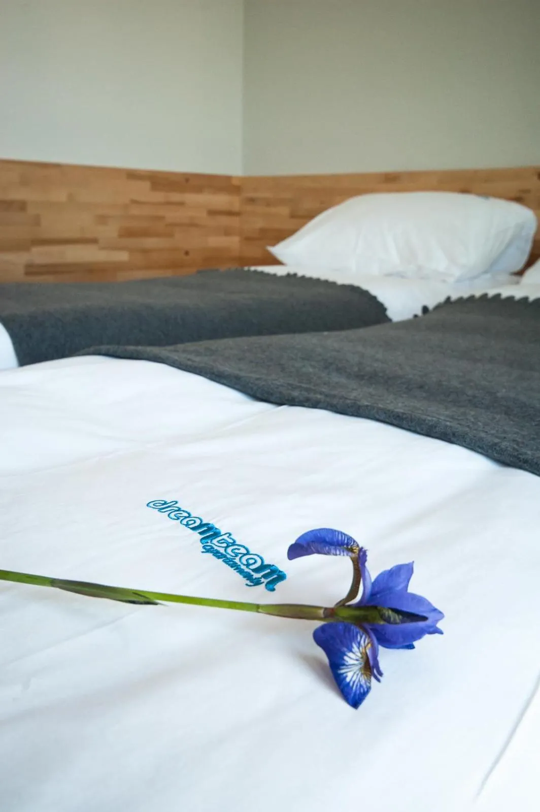 Bed in Dream Team Nordic Haven