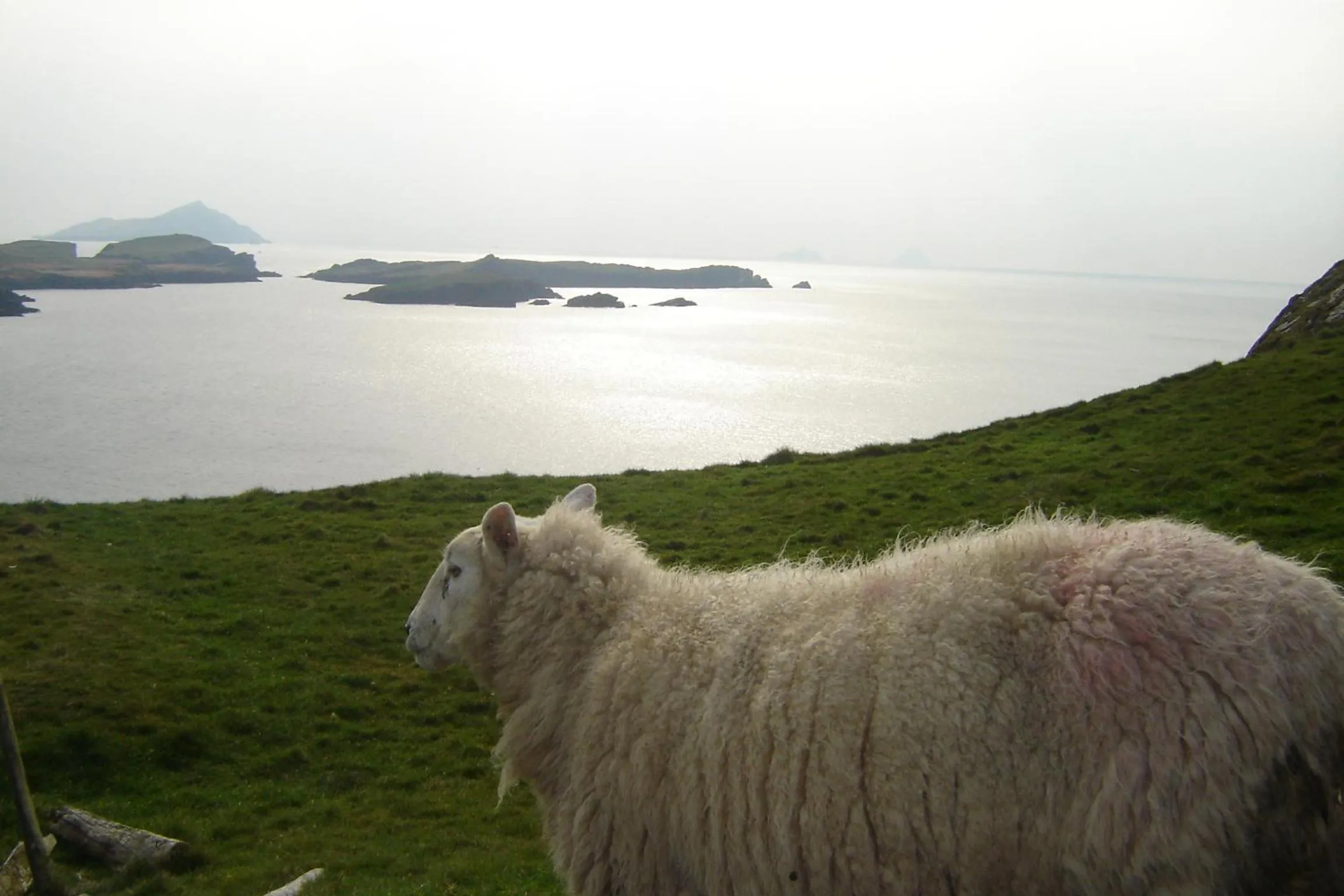 Sea view in Carraig Liath House