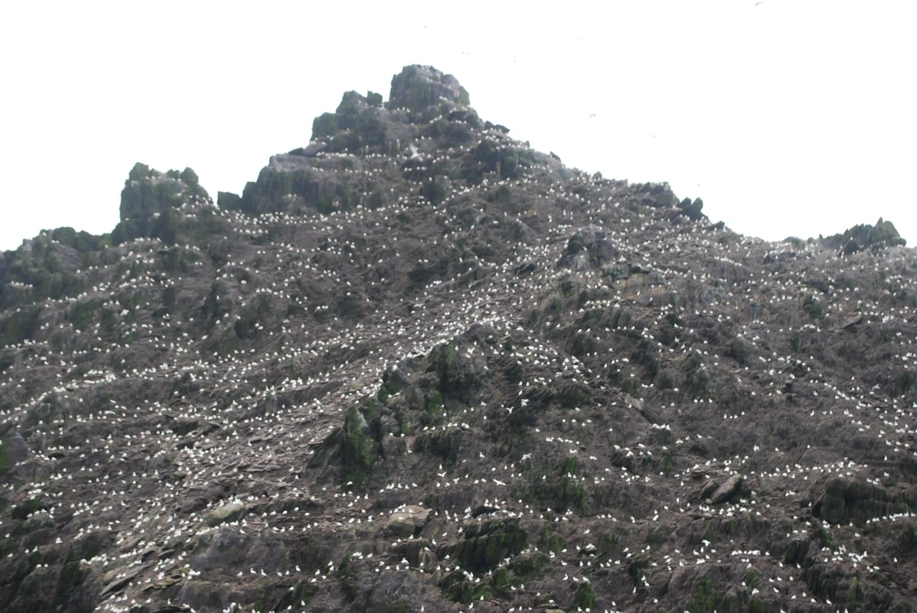 Carraig Liath House