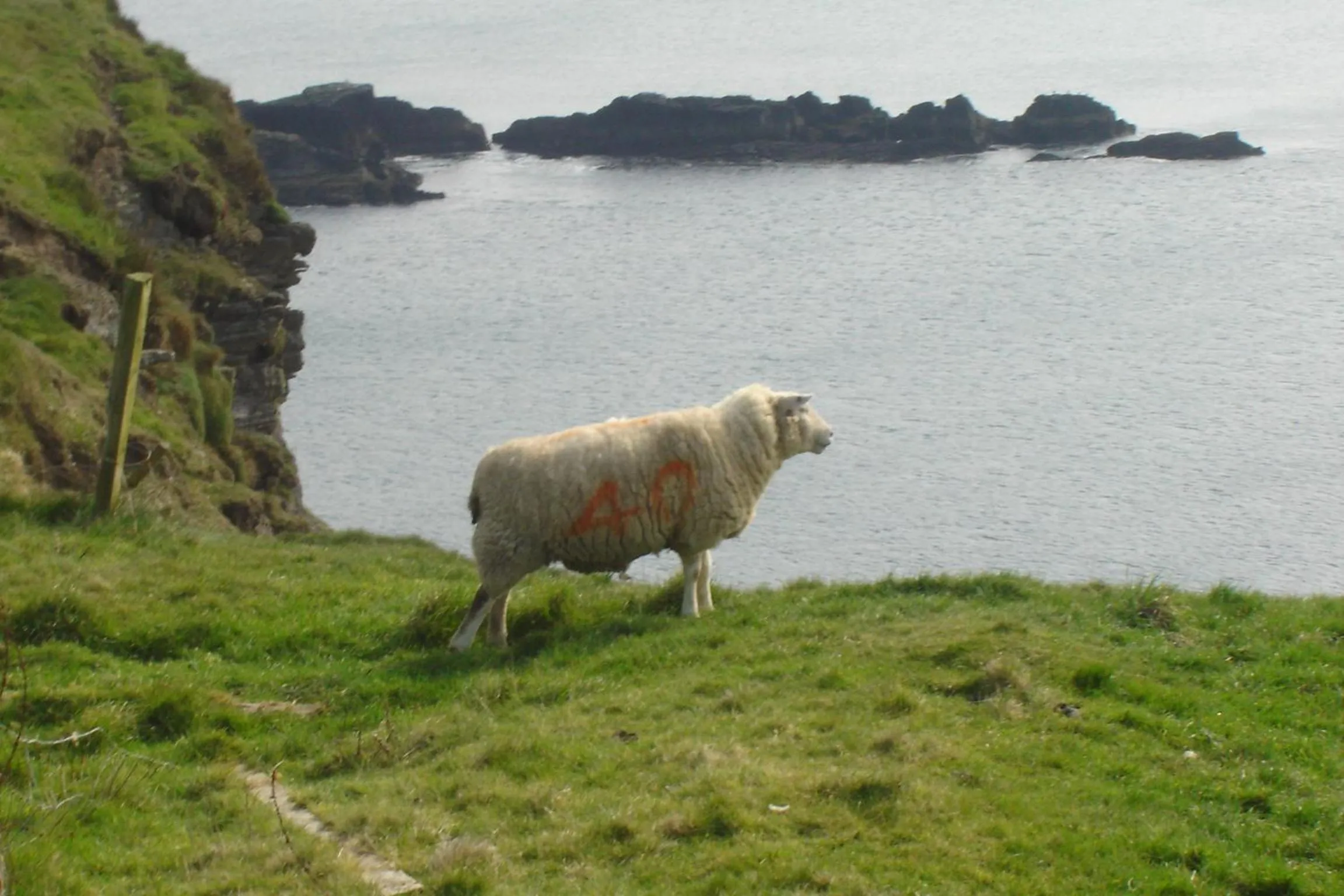 Natural landscape in Carraig Liath House