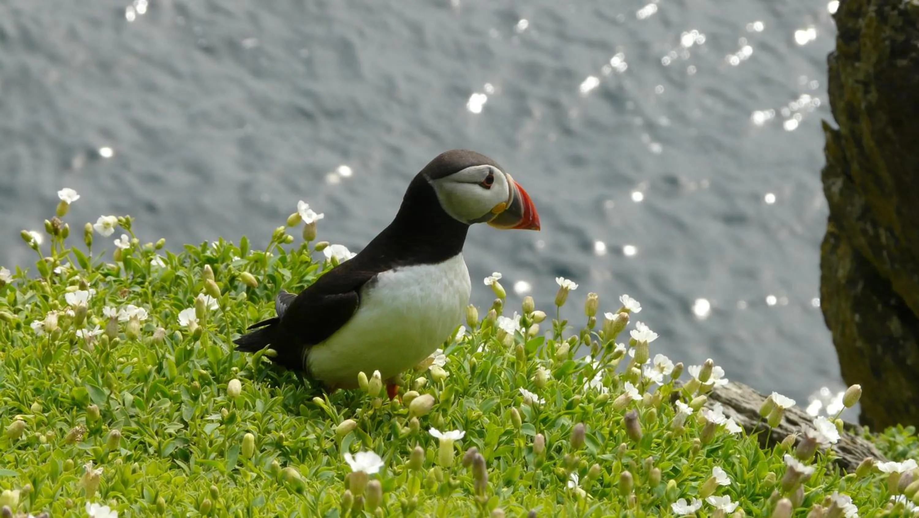 Carraig Liath House