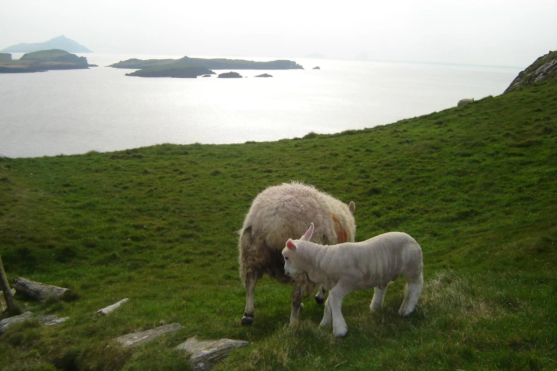 Natural landscape in Carraig Liath House