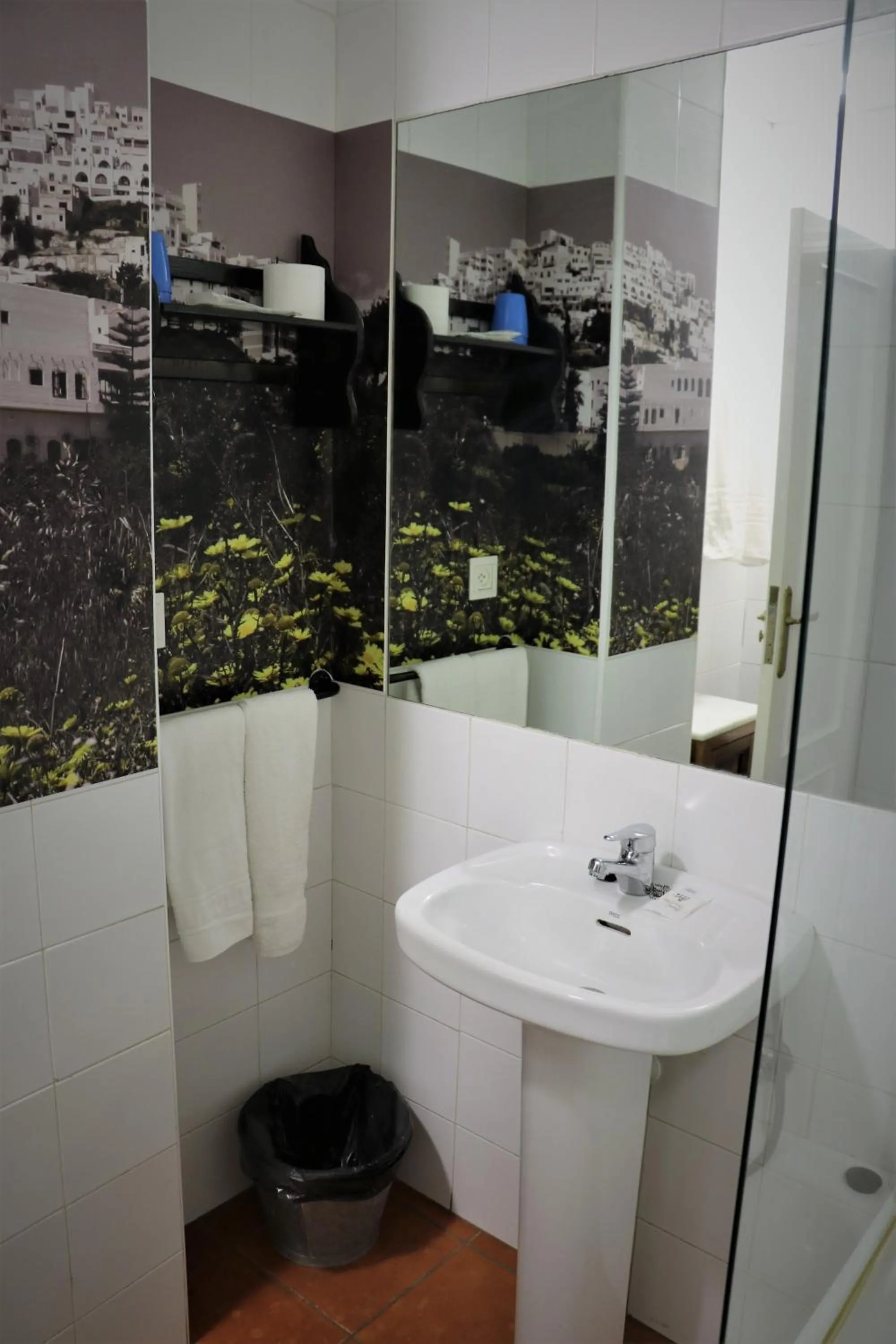 Double Room with Terrace in Hostal Arco Plaza