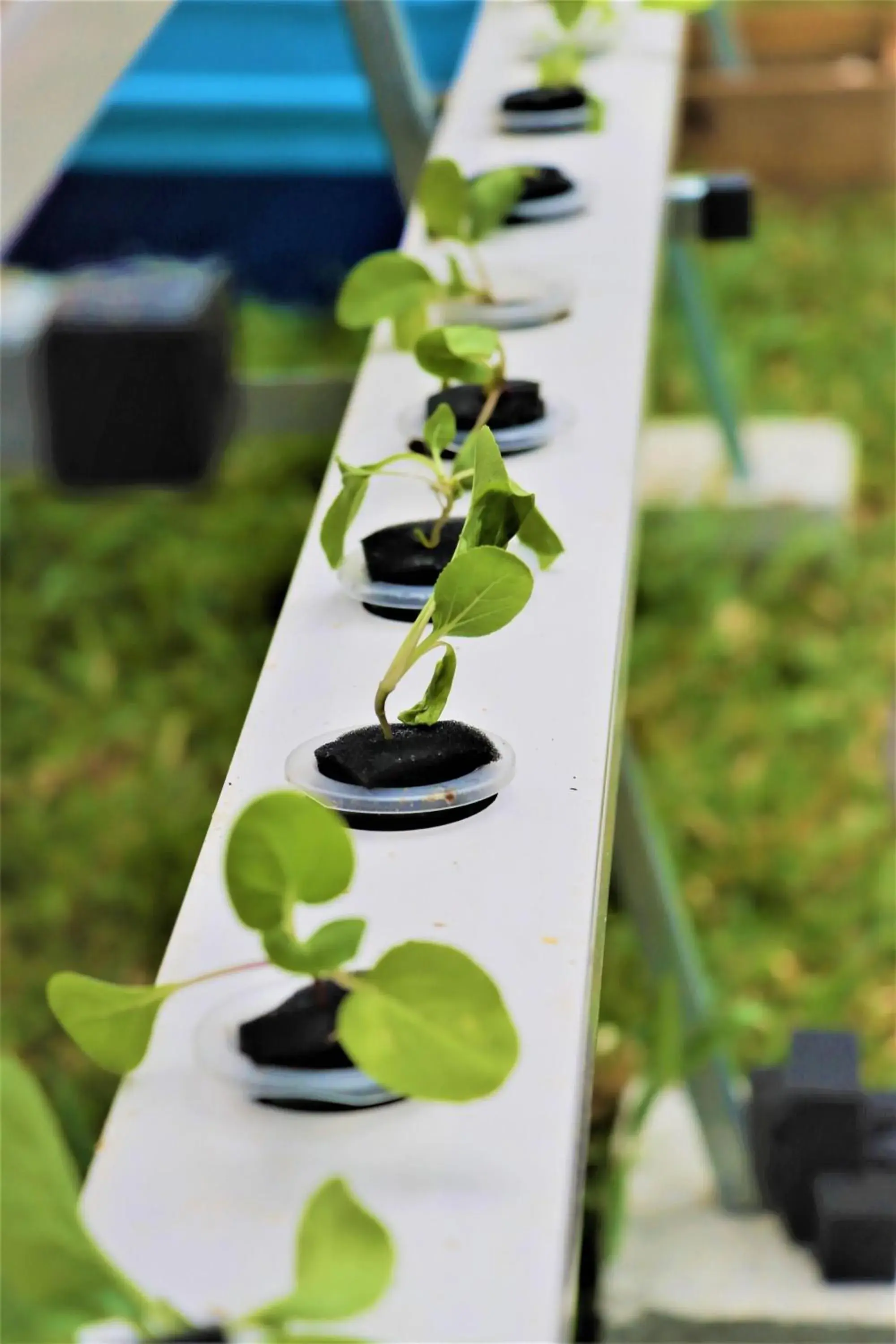 Property building in Kempinski Seychelles Resort Property building in Kempinski Seychelles Resort