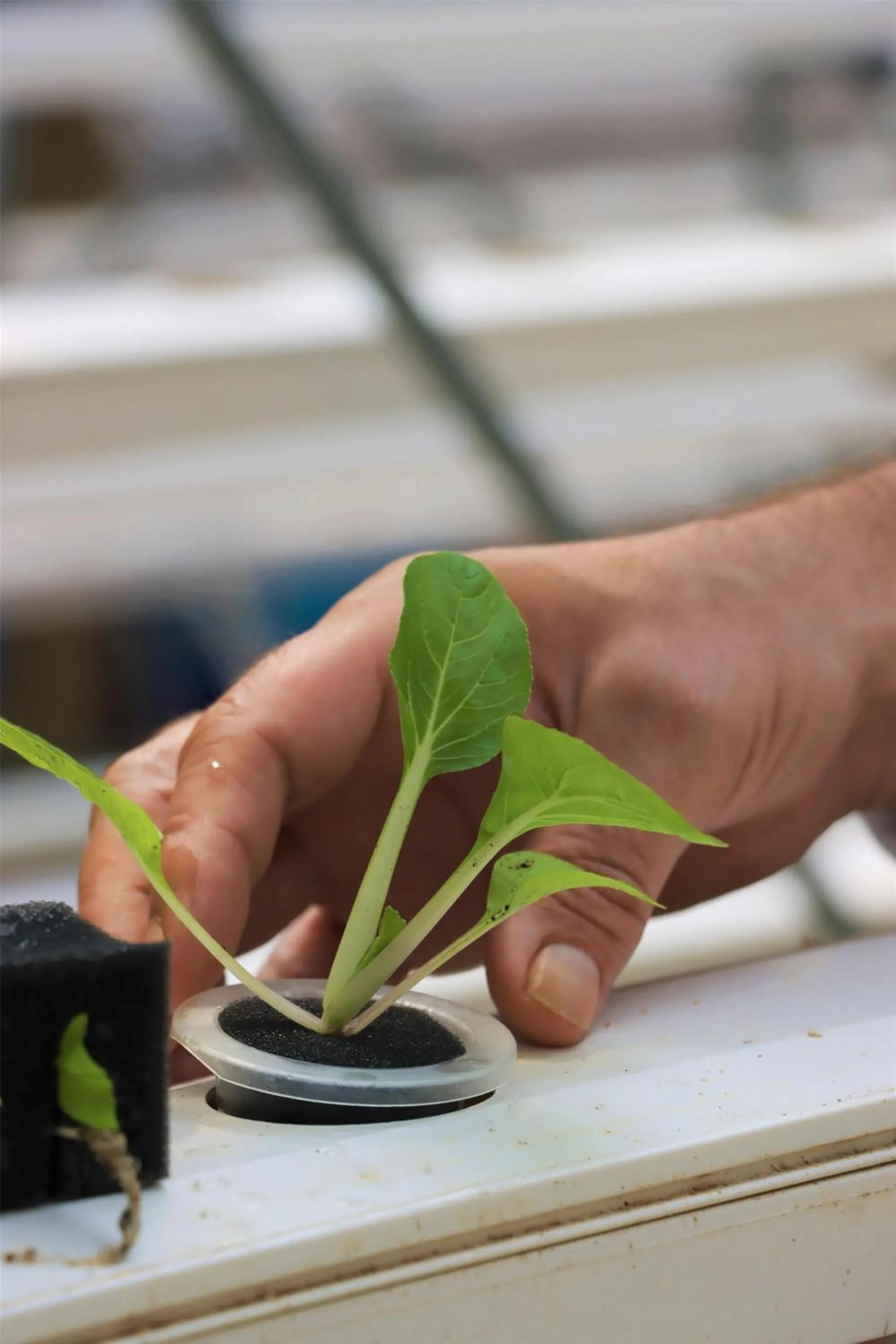 Property building in Kempinski Seychelles Resort