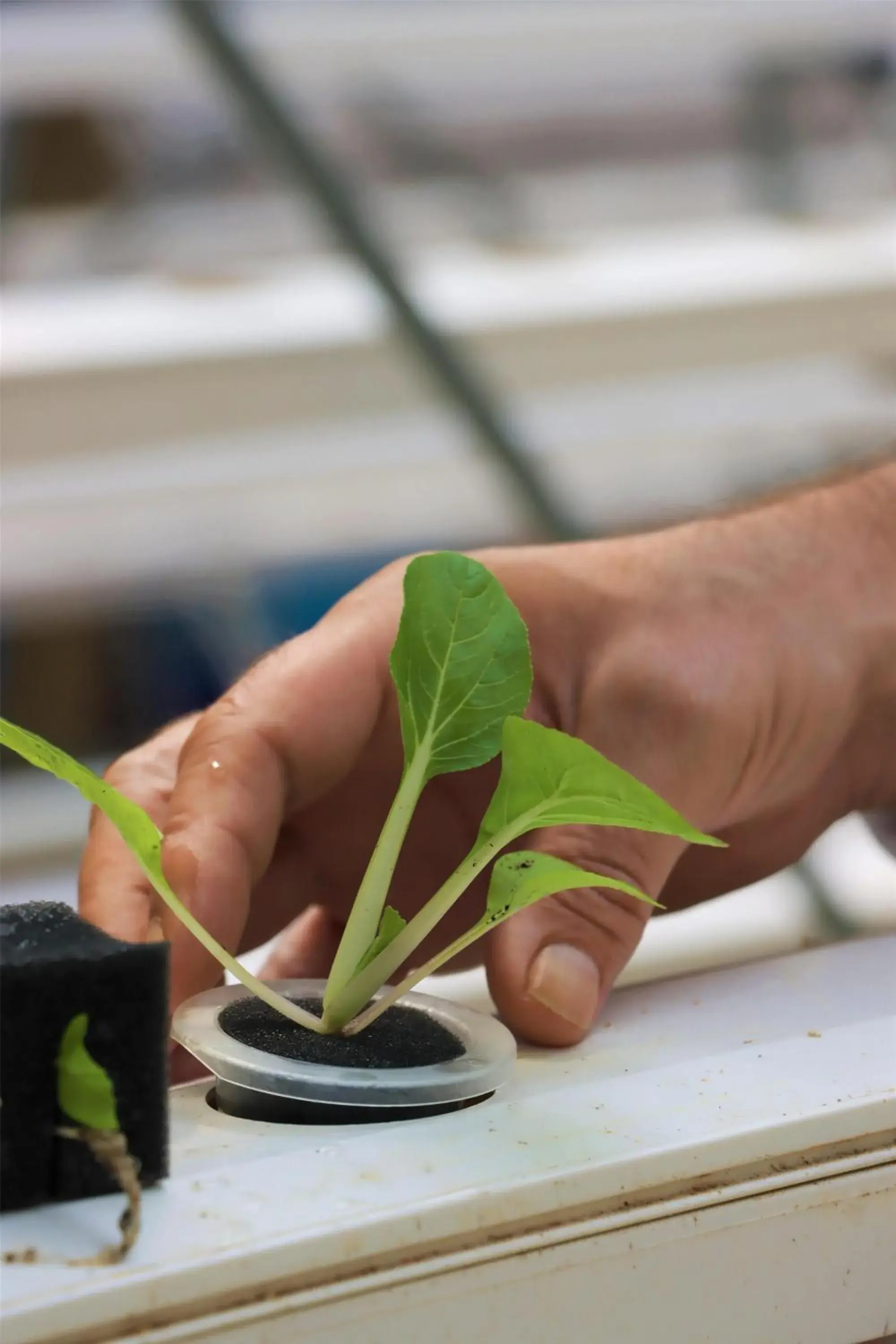 Property building in Kempinski Seychelles Resort Property building in Kempinski Seychelles Resort