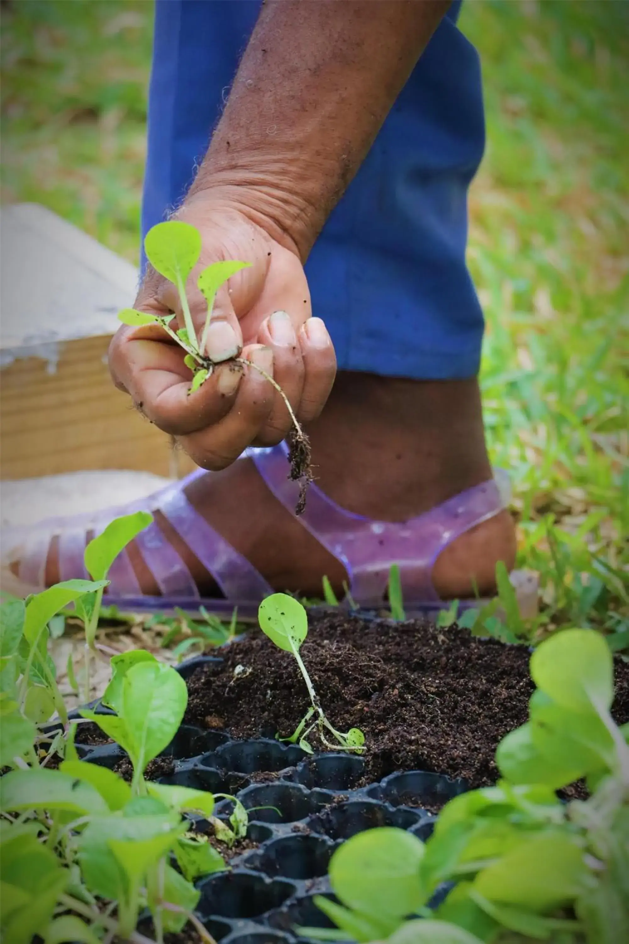Property building in Kempinski Seychelles Resort Property building in Kempinski Seychelles Resort