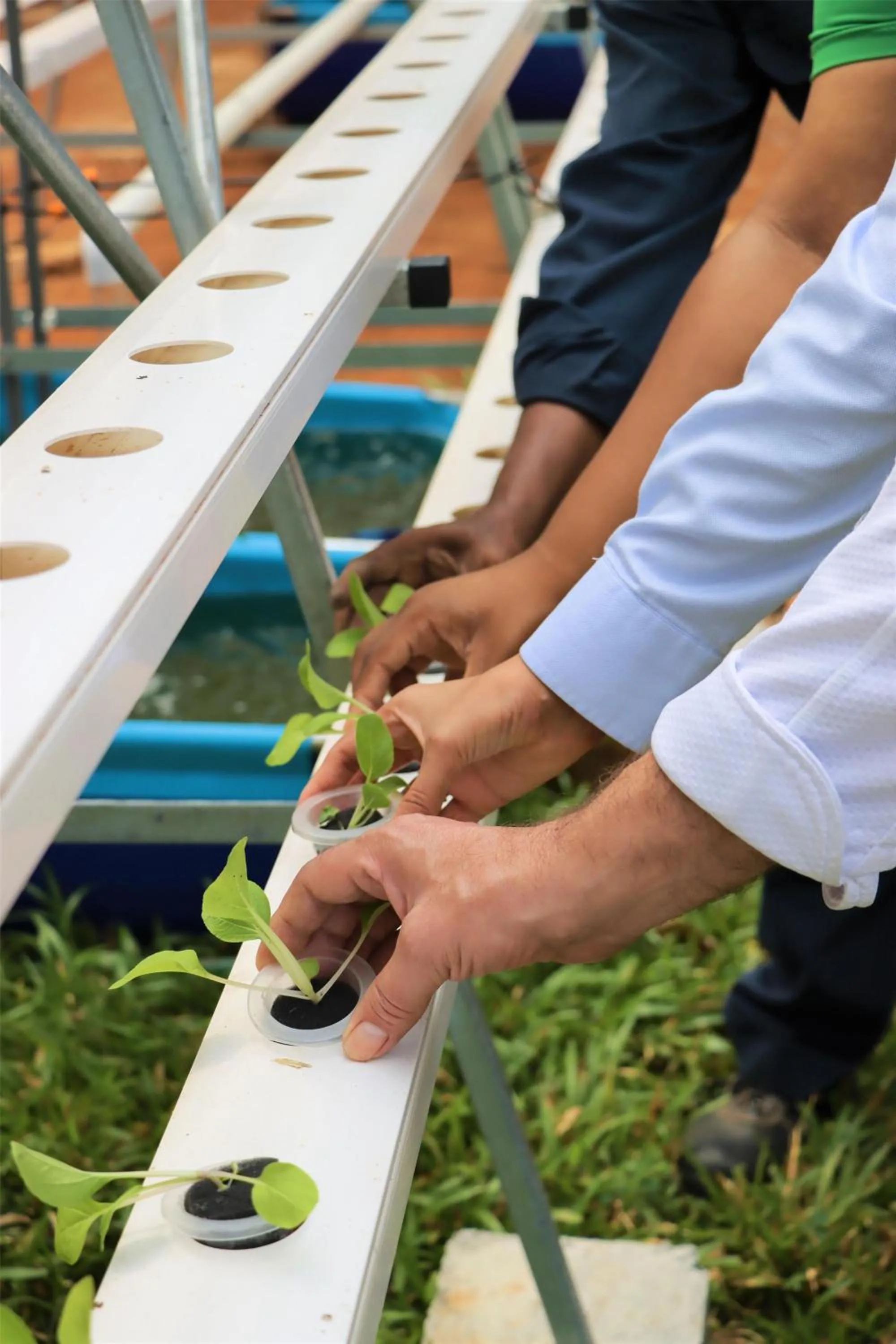 Property building in Kempinski Seychelles Resort