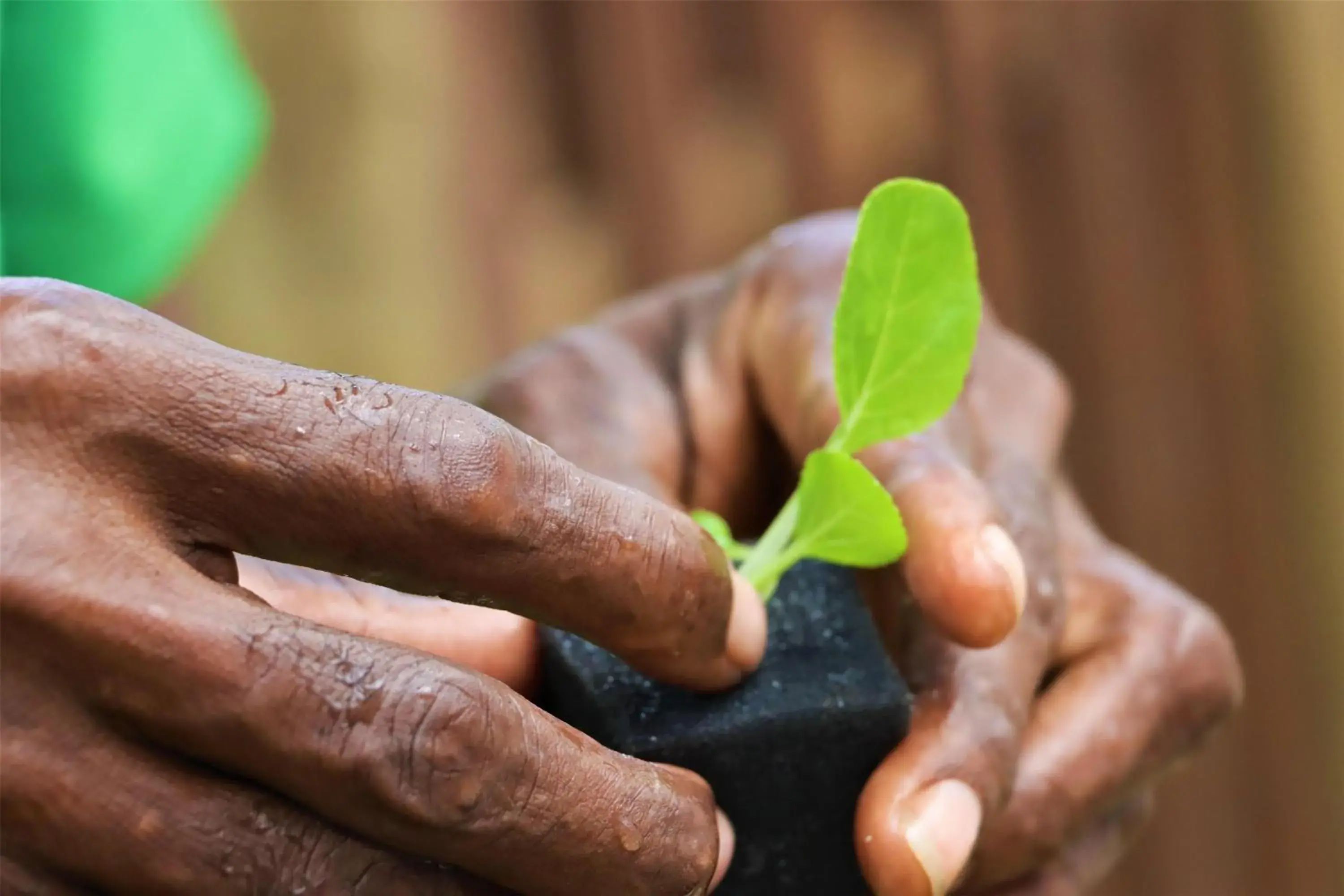 Property building in Kempinski Seychelles Resort Property building in Kempinski Seychelles Resort