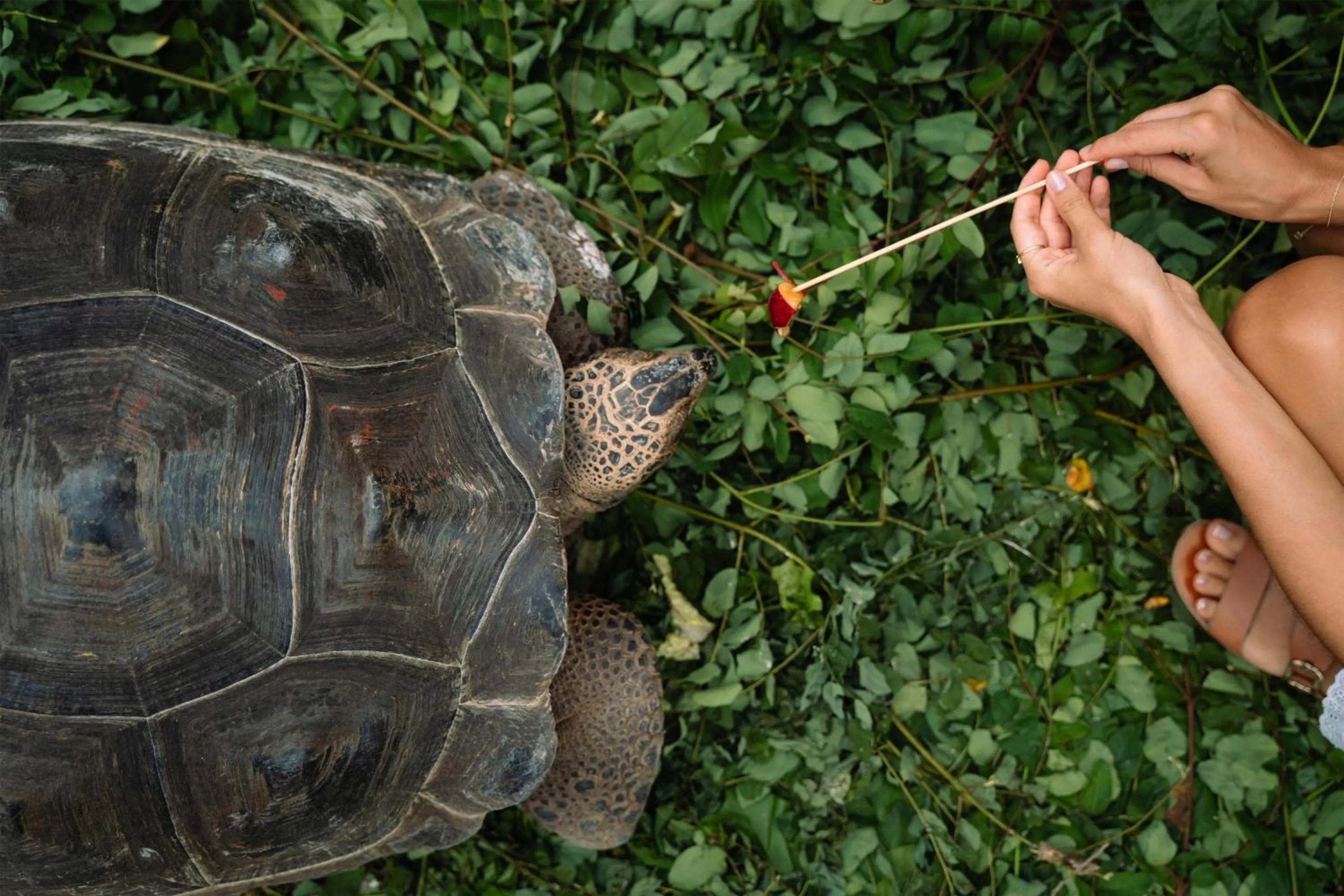 Location in Kempinski Seychelles Resort