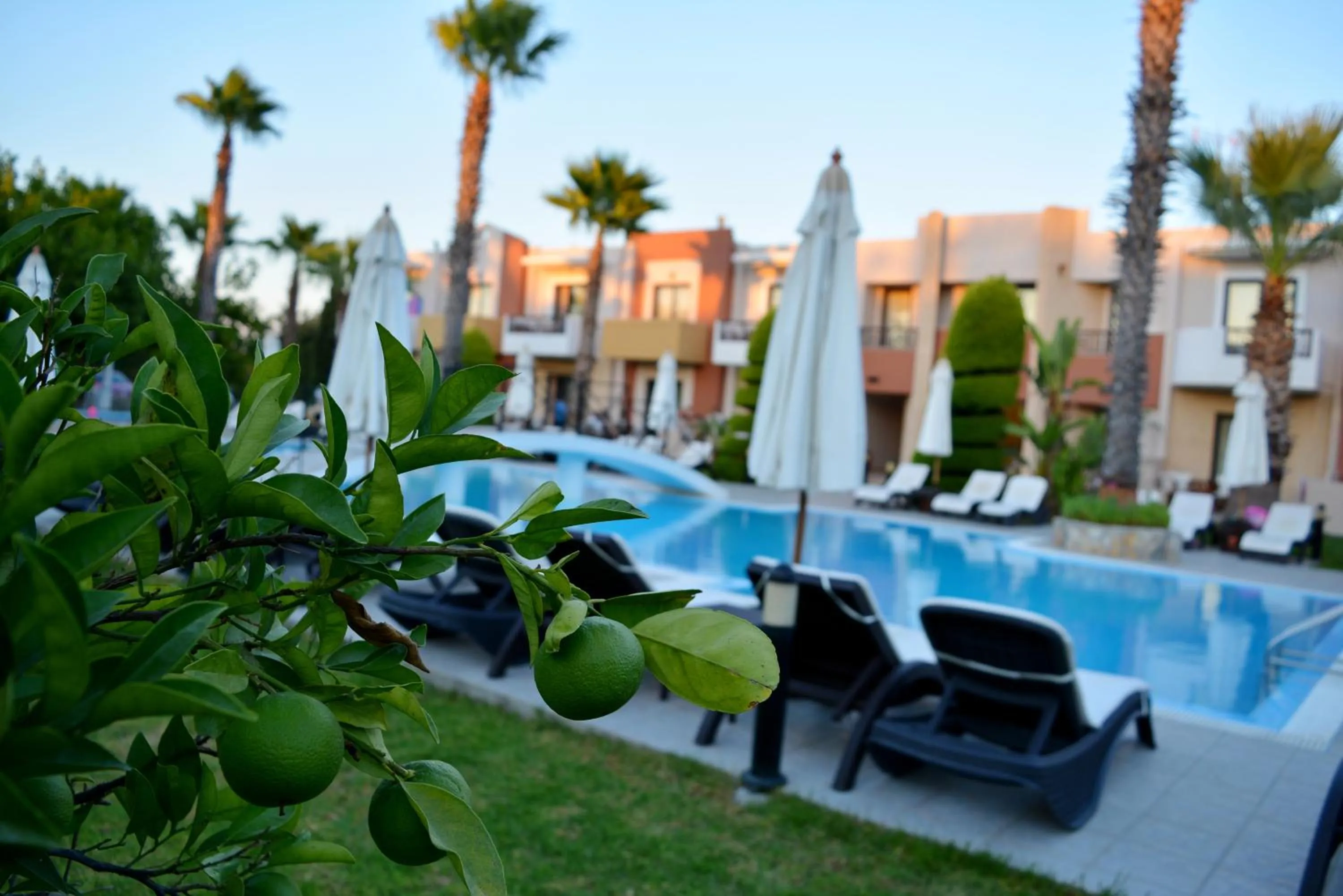 Garden in Stavros Melathron Studios