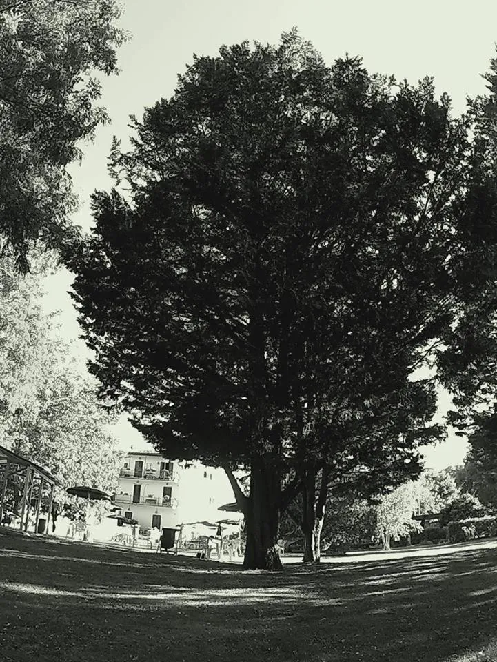 Summer in La Francigena