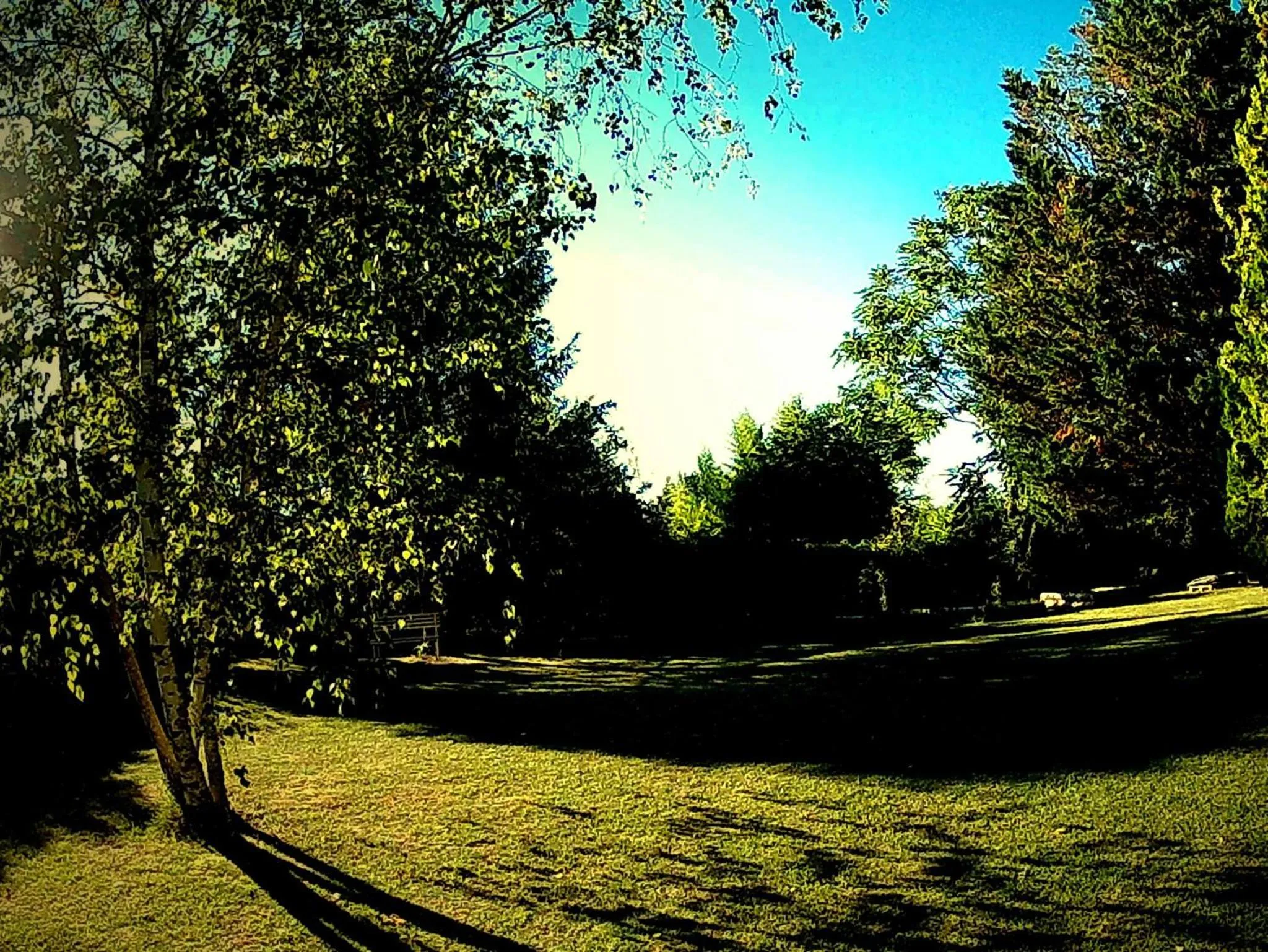 Summer in La Francigena